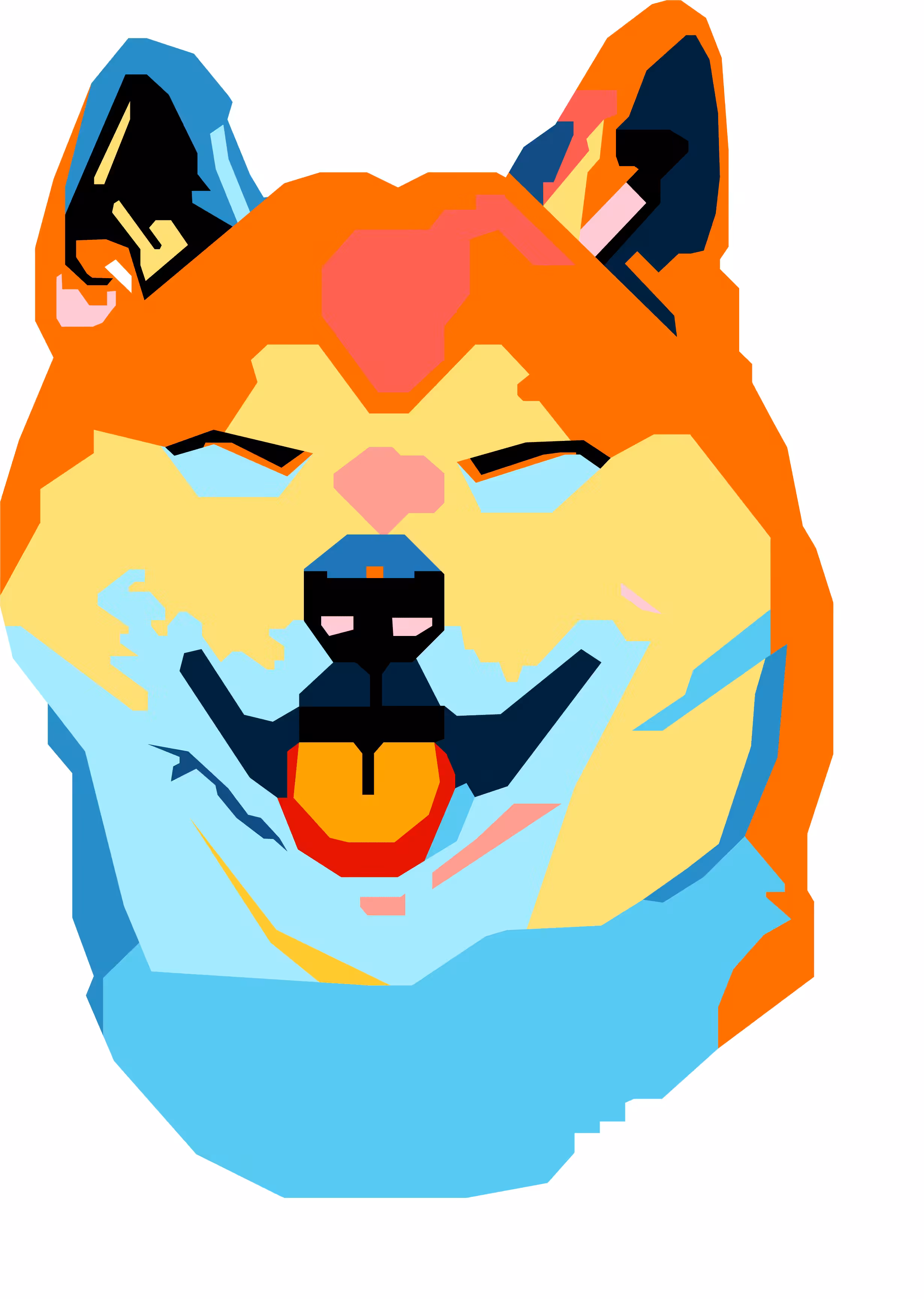 Doge in Colorful Style