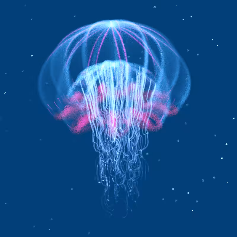 Creatures of the Deep #1 - The Jellyfish #20