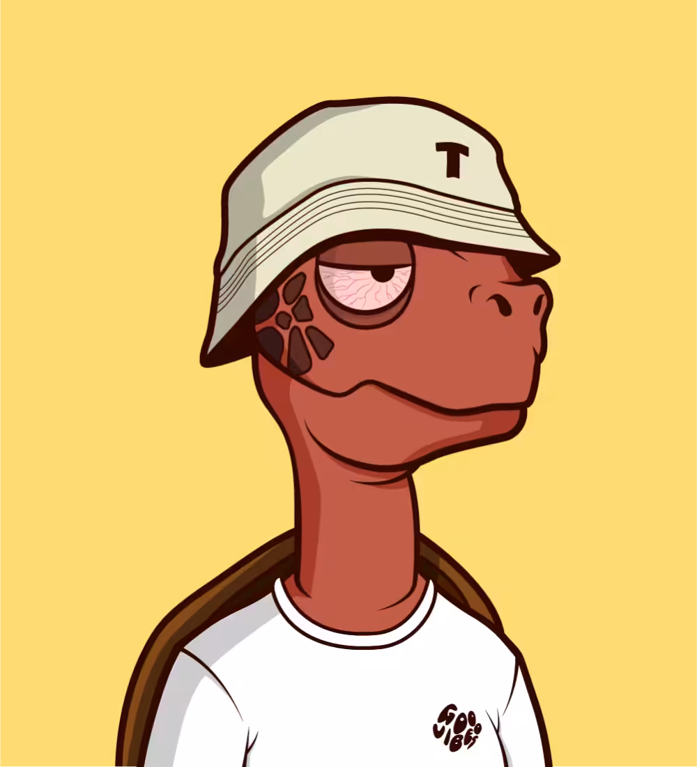 Tiny Turtle 81