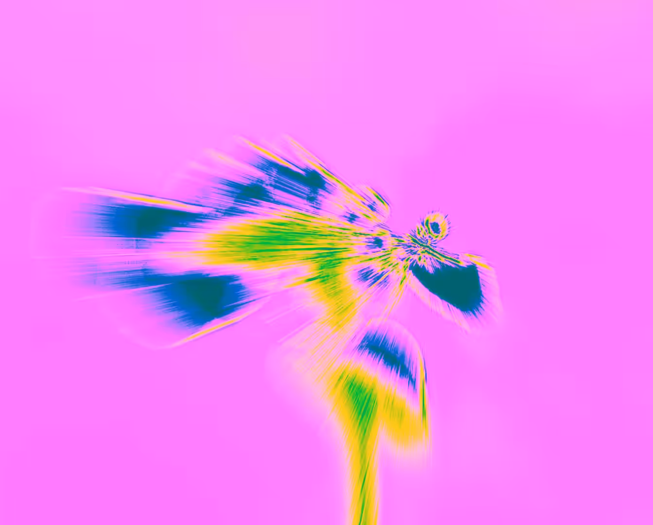 Electric Blossom X3