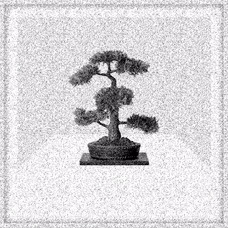 Bonsai Bonanza #499