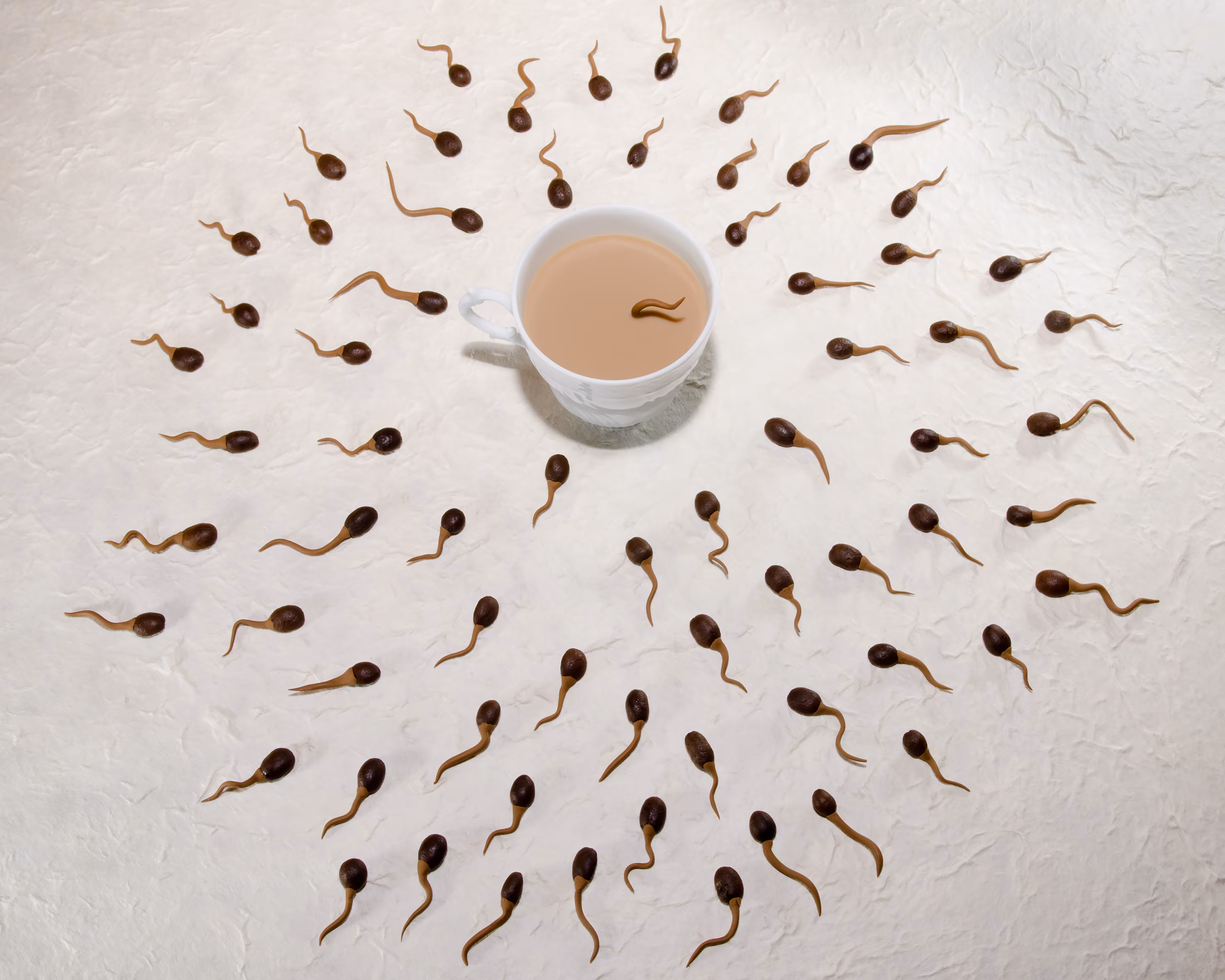 Coffee Break Extravaganza