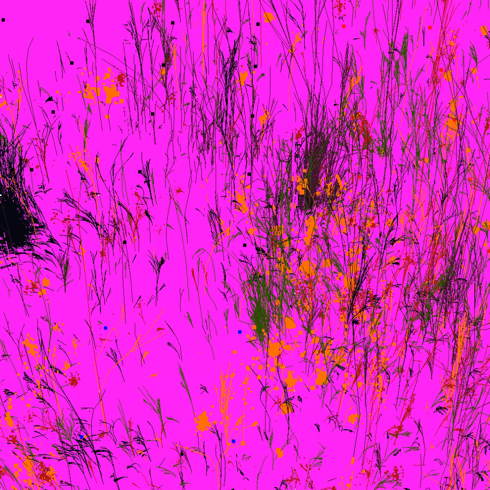 Infinite Garden: 12681 Flowers