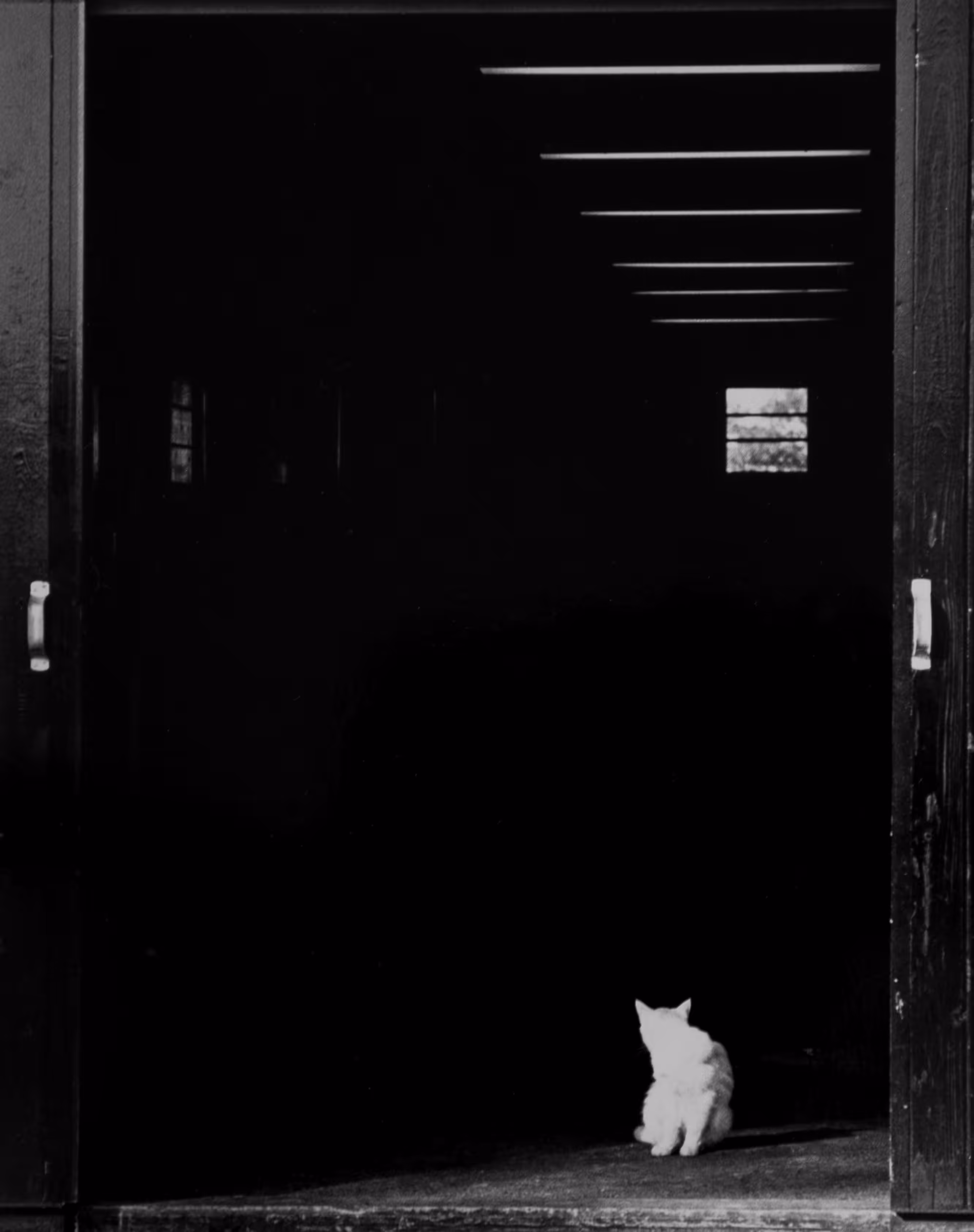 Doorways and Windows