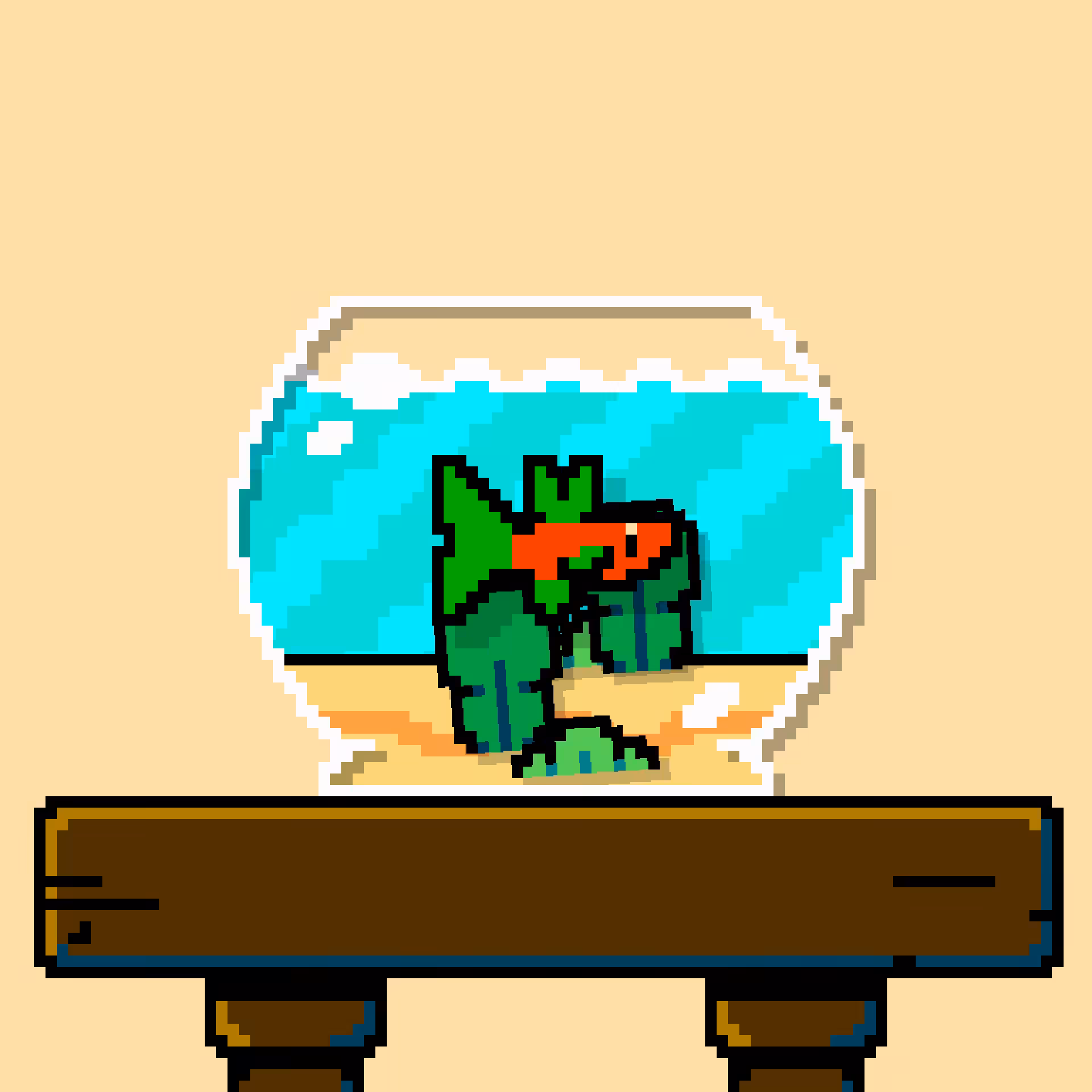betta fish #681