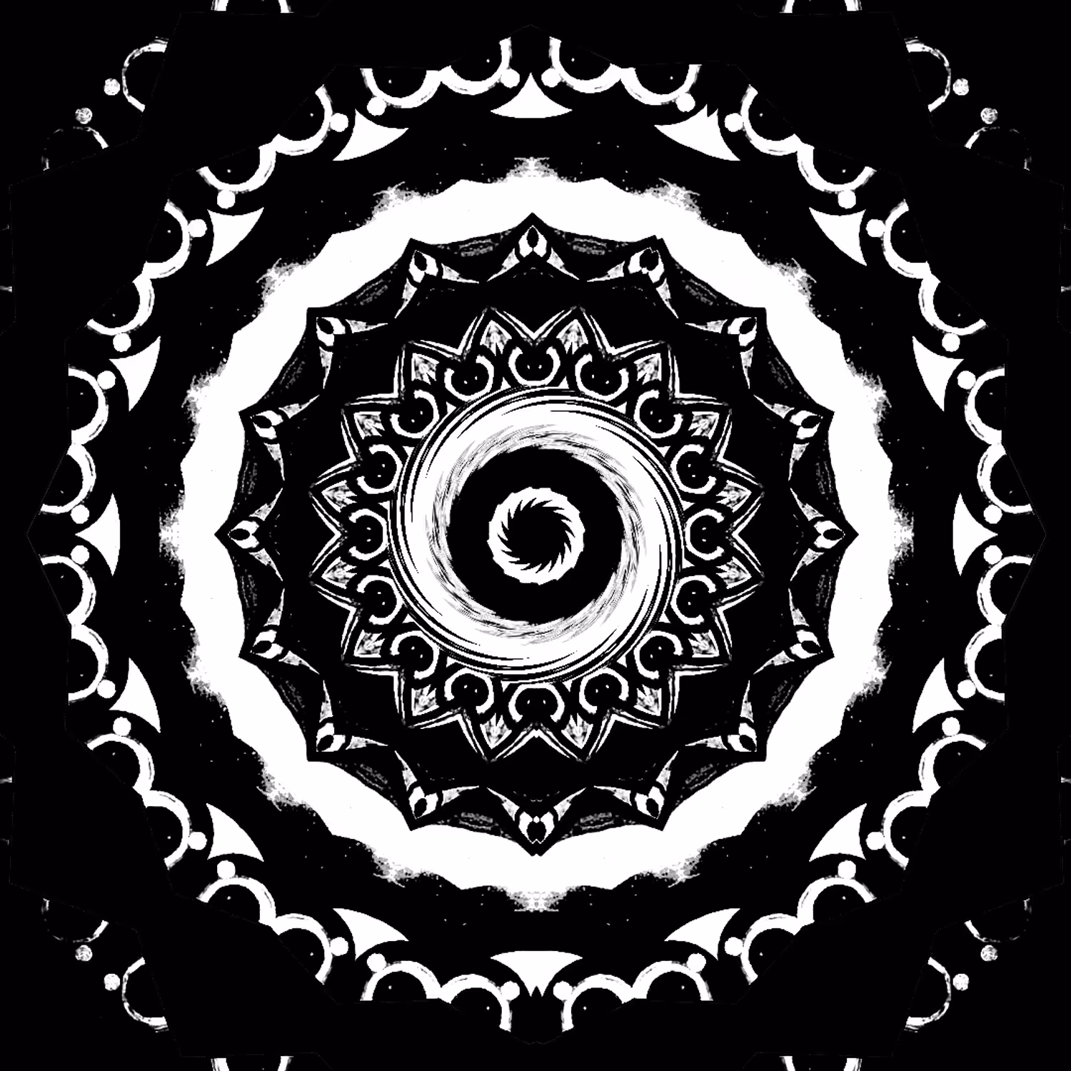 Black & White #005