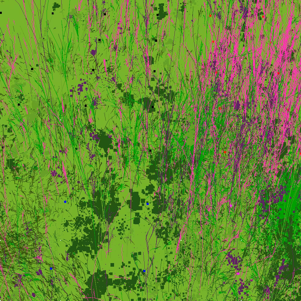 Infinite Garden: 53508 Flowers