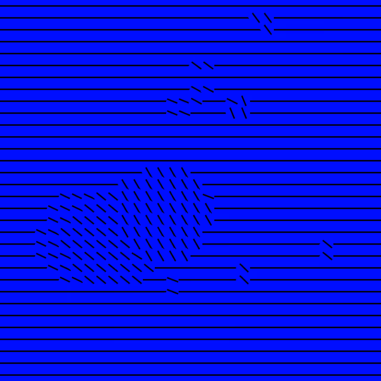 SETNAS #238