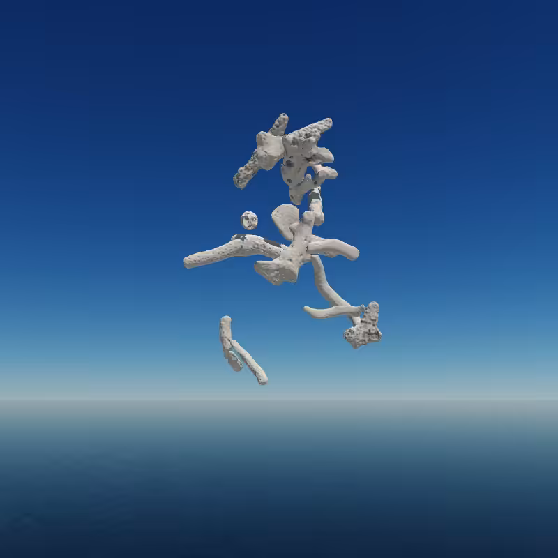 Bone Work (Gulf of Mexico) 2022 #8