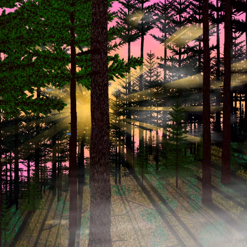 Forest Sunrise #5