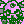 BidouPunks: Battle Against the Crystal Skull