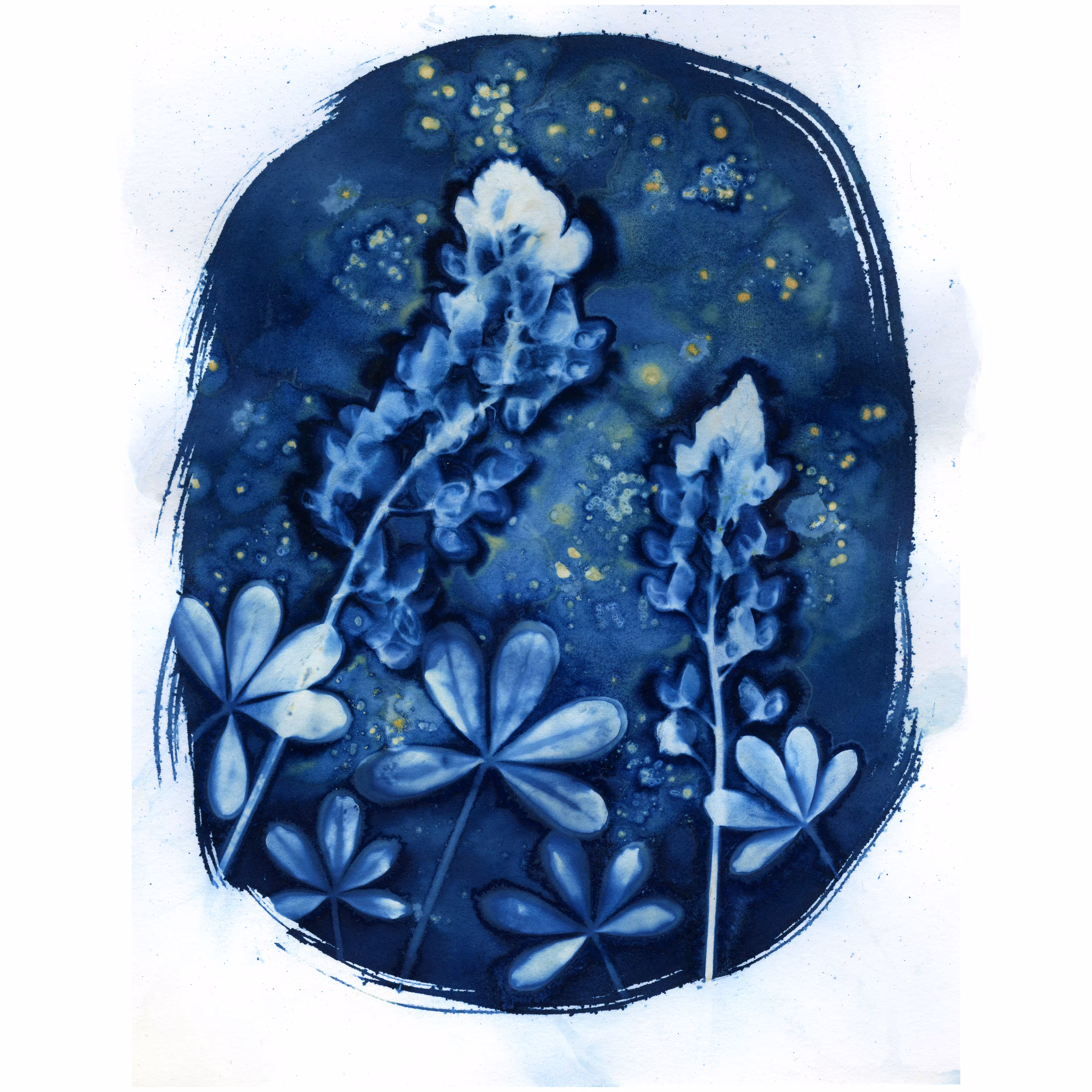 2 Dancing Bluebonnets