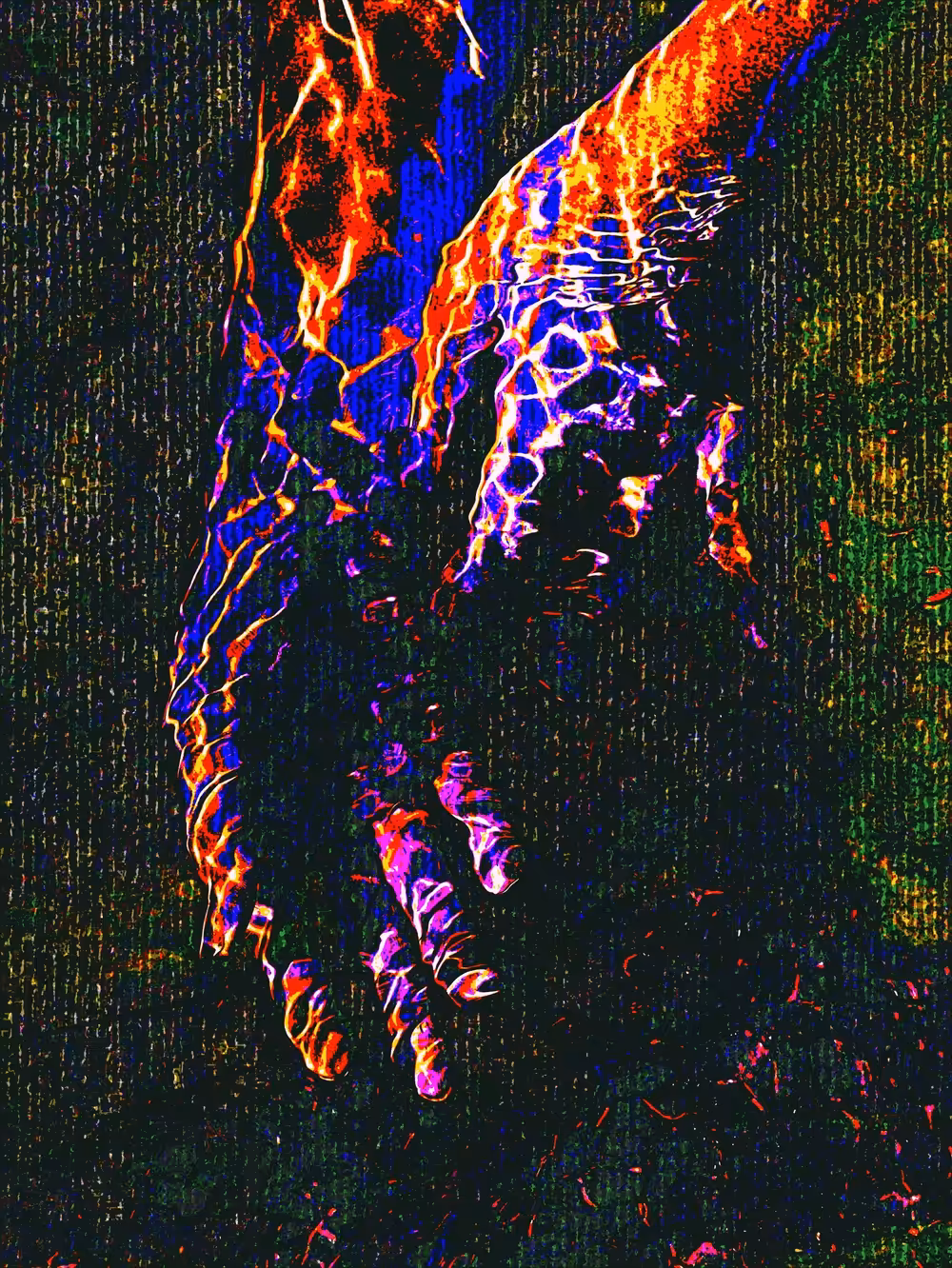 touch