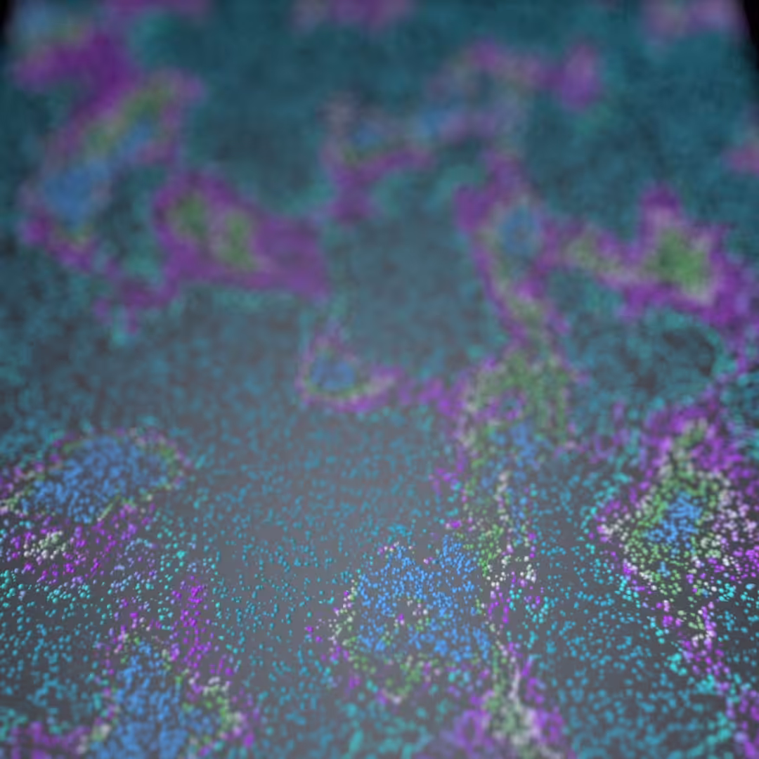 Wavy particles.