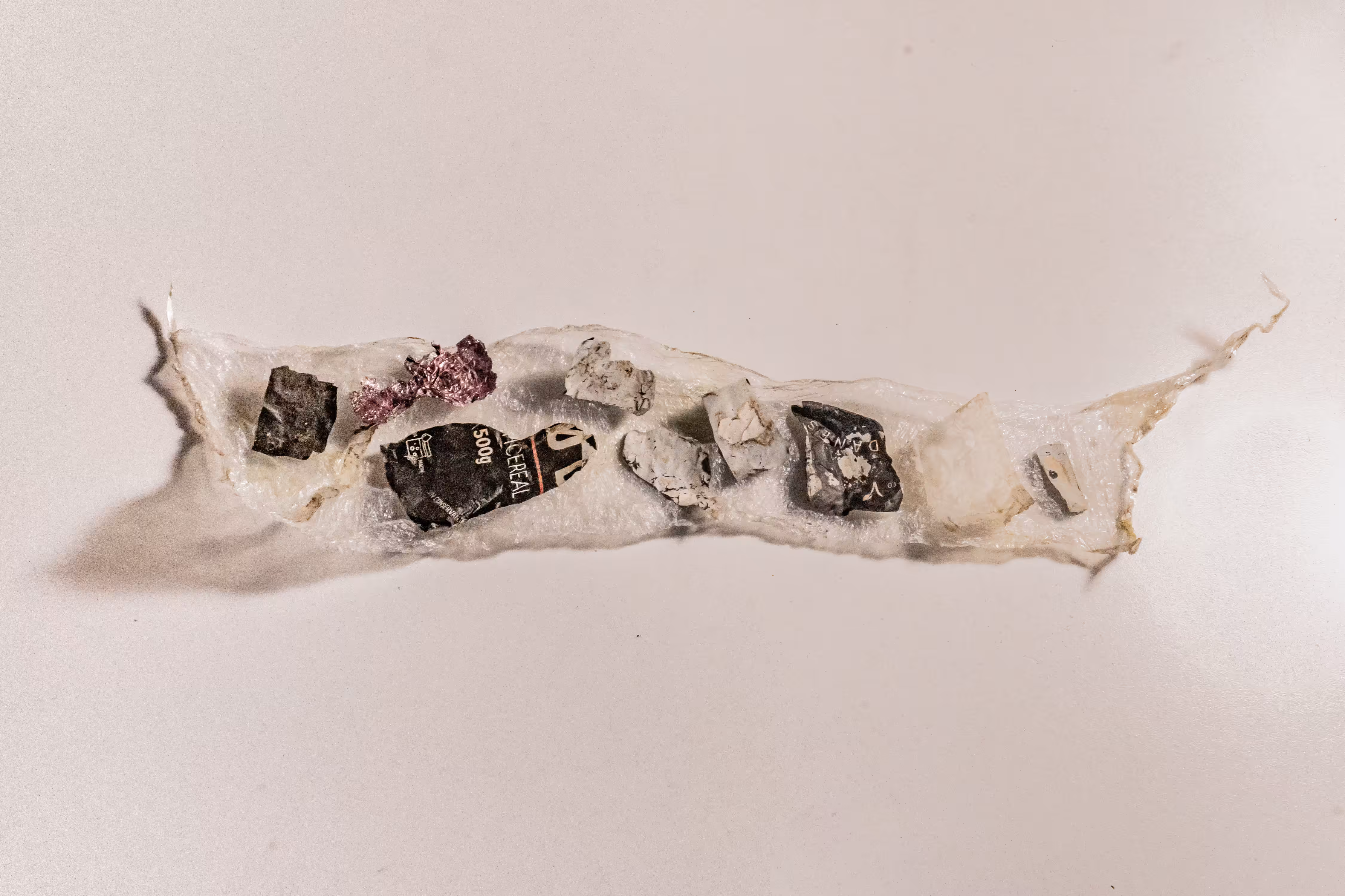 metamorfosis: METAMORFOSIS 4