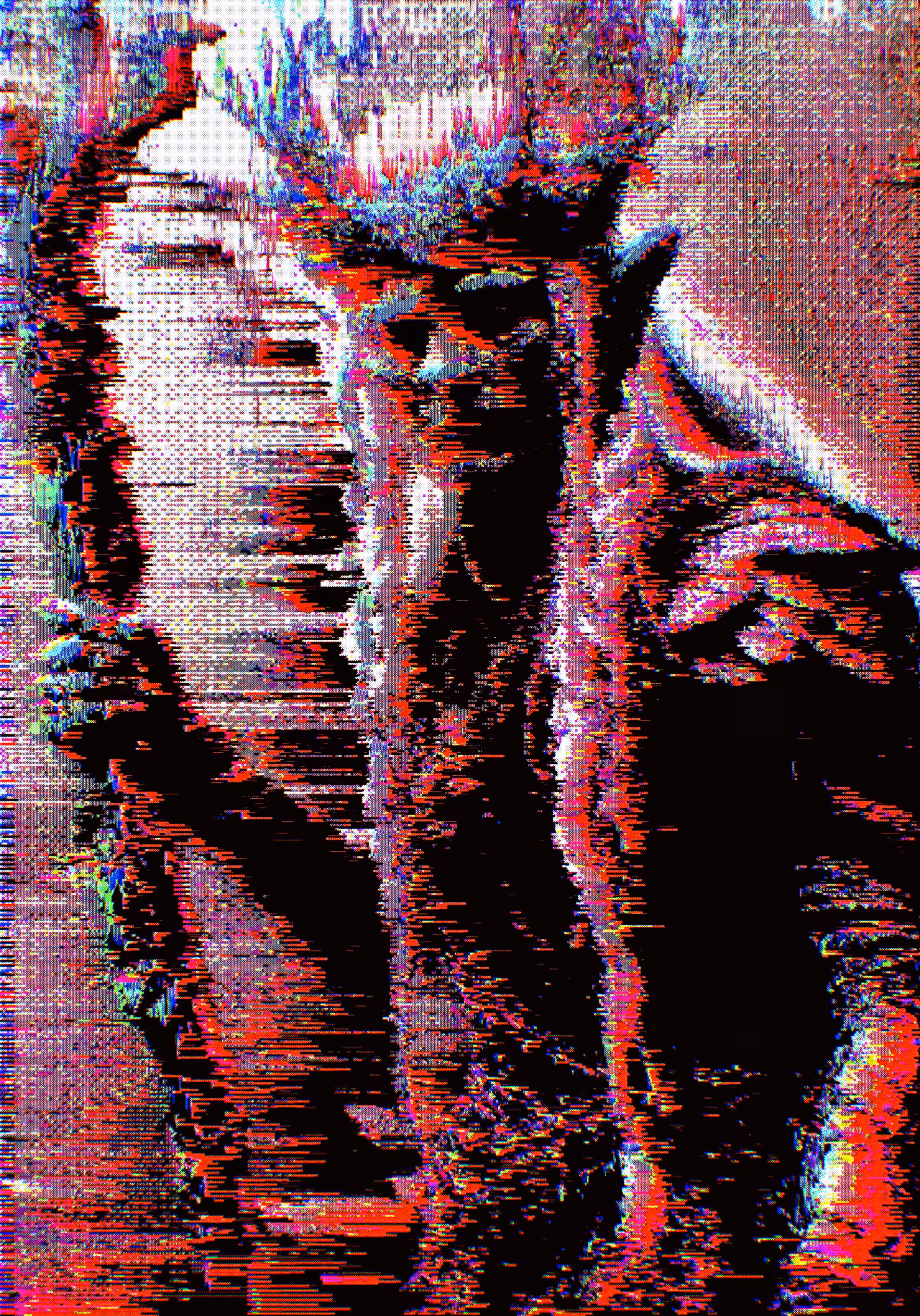 The Glitched Warden