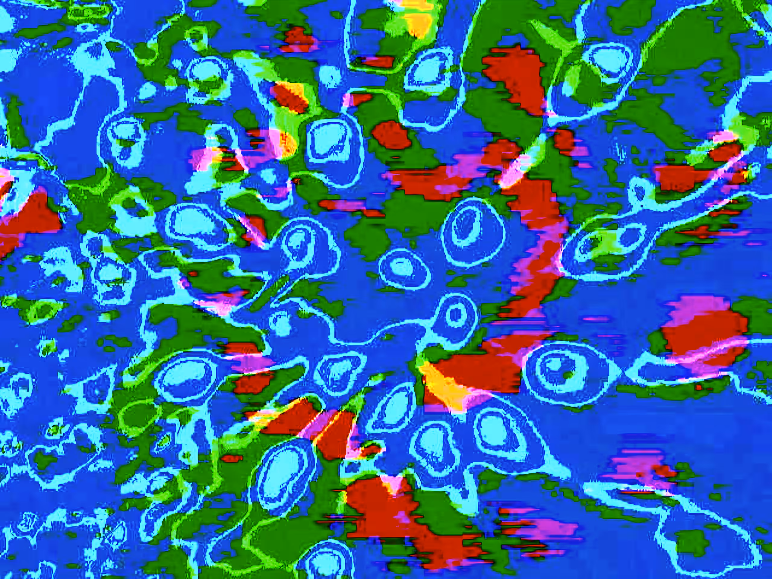 ART MARKET: Unedited Photo of a Cactus