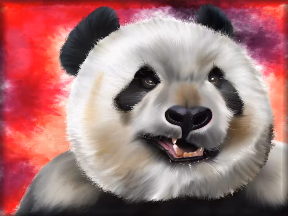Stir Craxy: panda Xpress