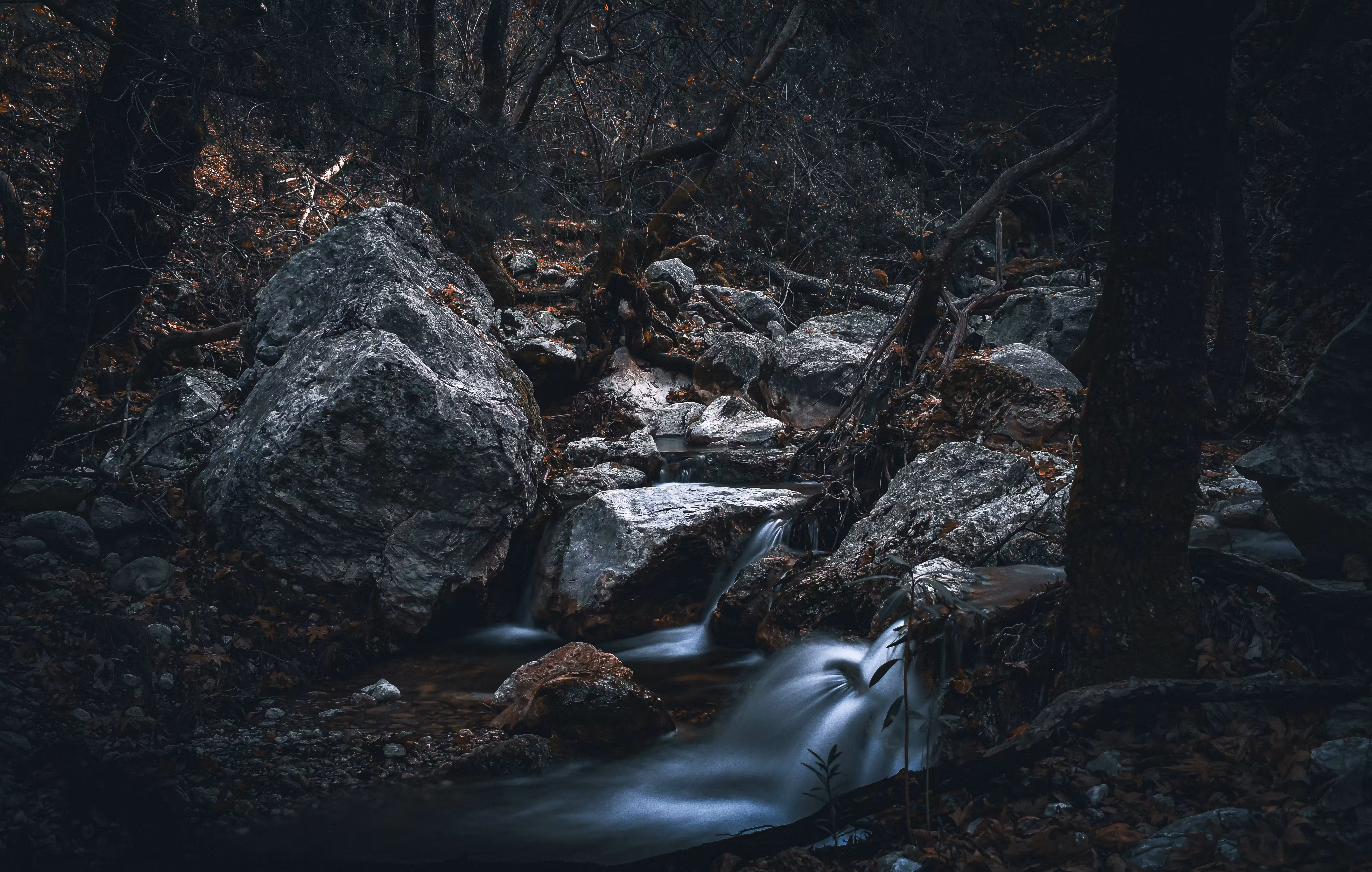 Woodland Escape
