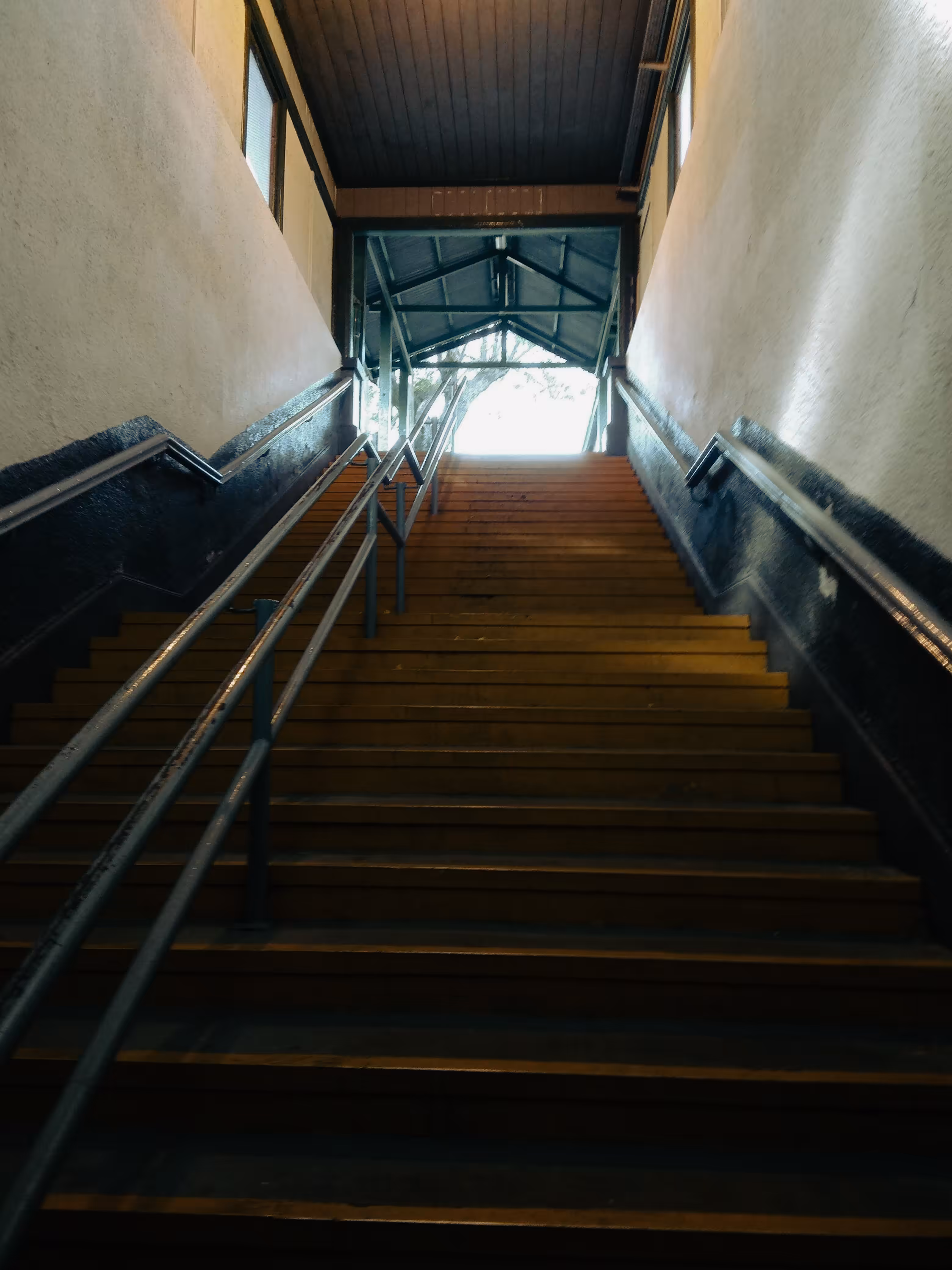Tren Roca: The Exit