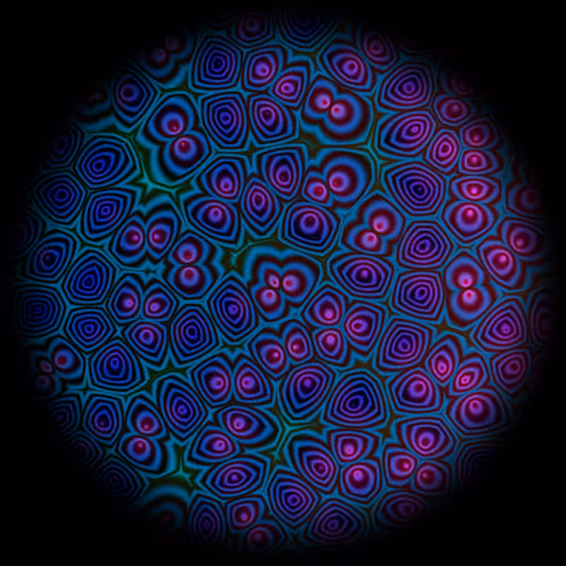 Motile #17