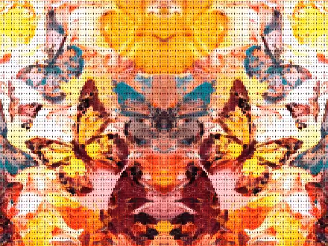 Mirror Butterflies