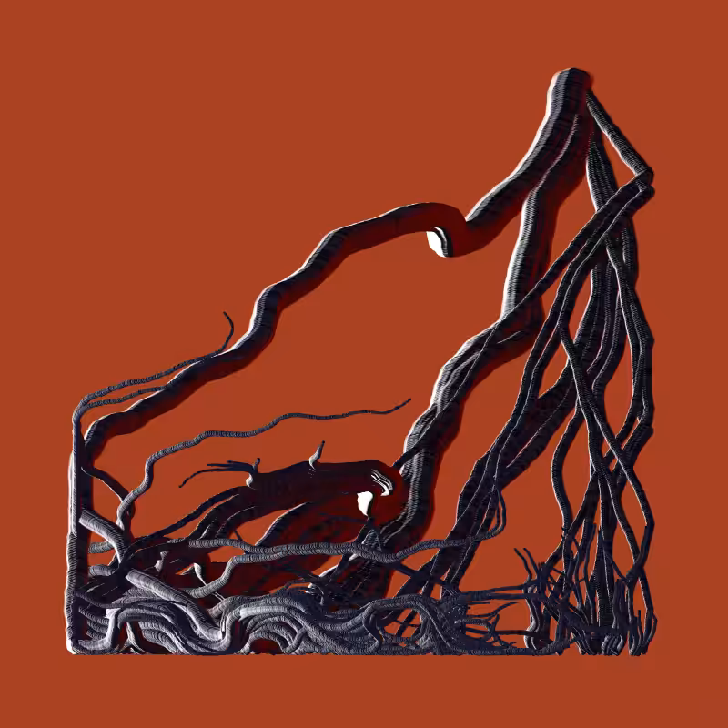 Root #29