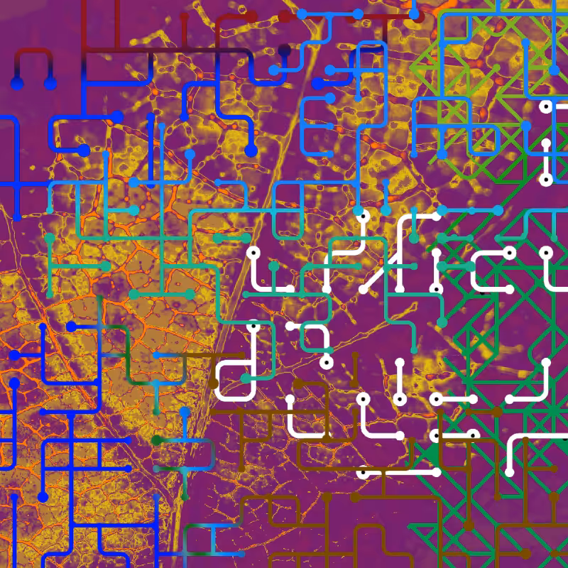CHAOS #28