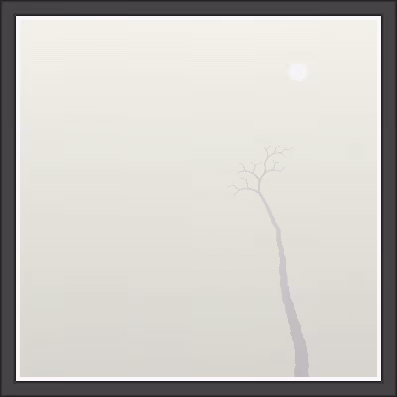 The Foggy Trees #145