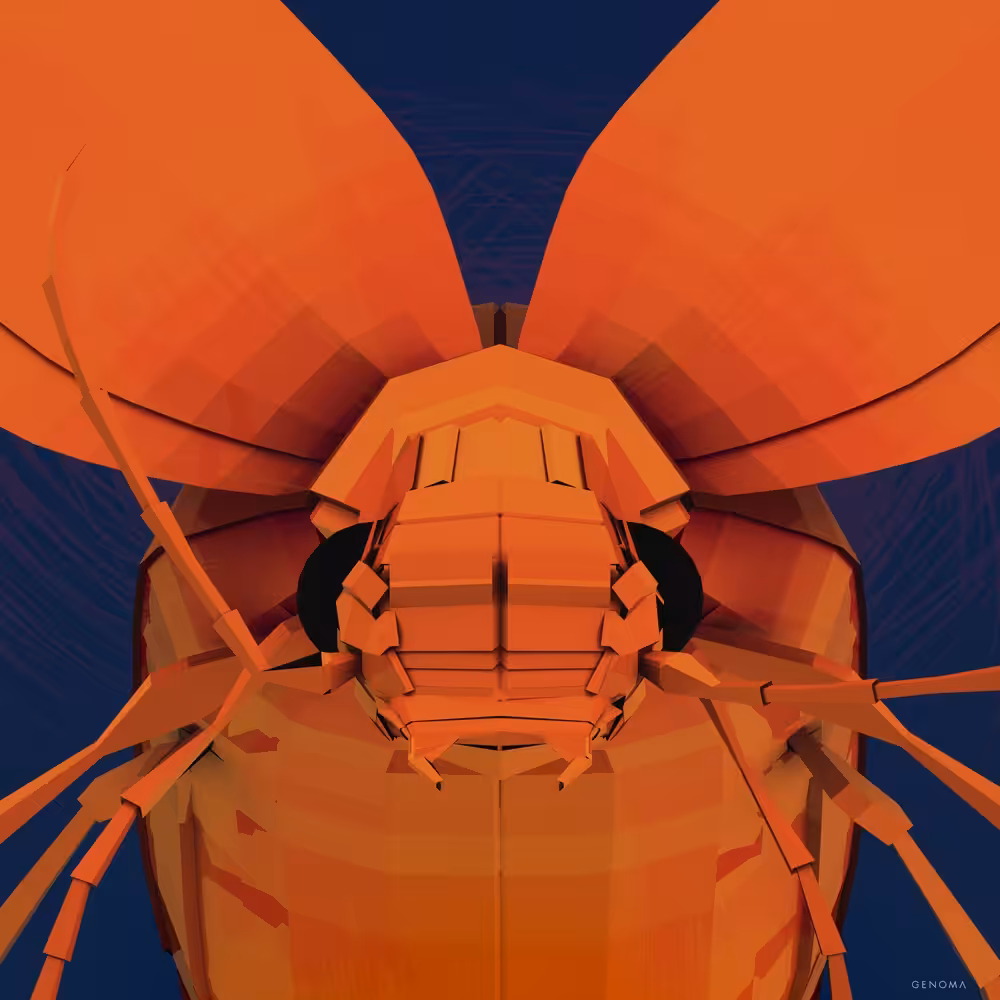 Portrait of a Pixel Perfect Bombardier Beetle