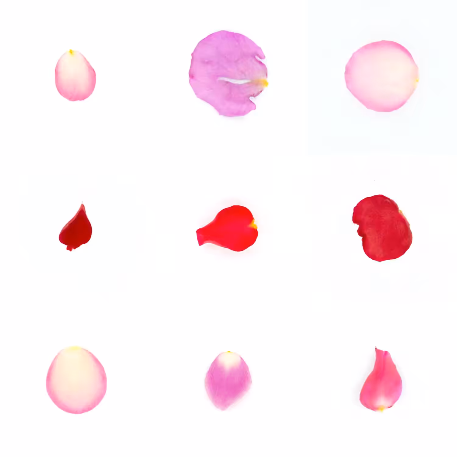 Infinite Petals 3x3#2319
