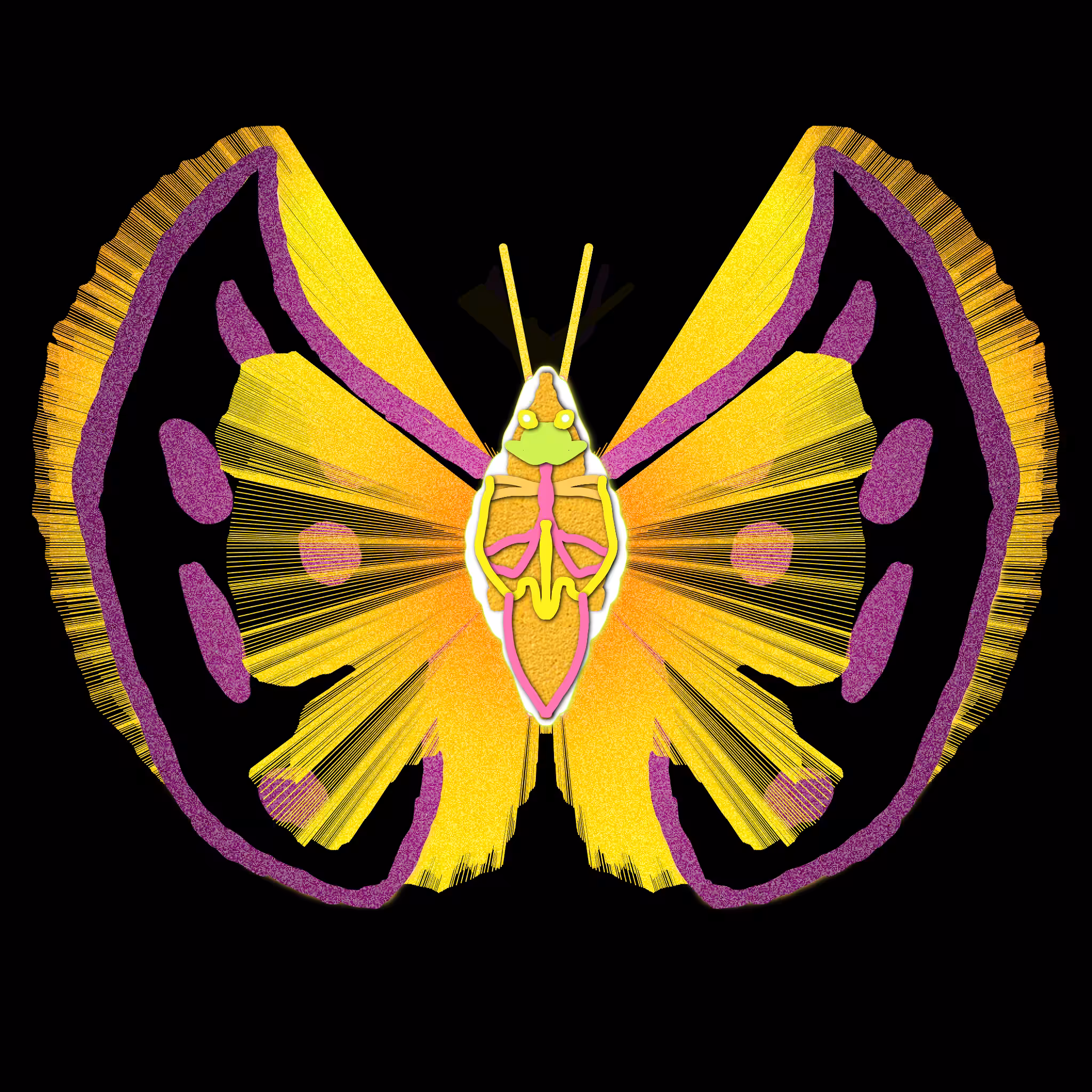 Tezerfly#045