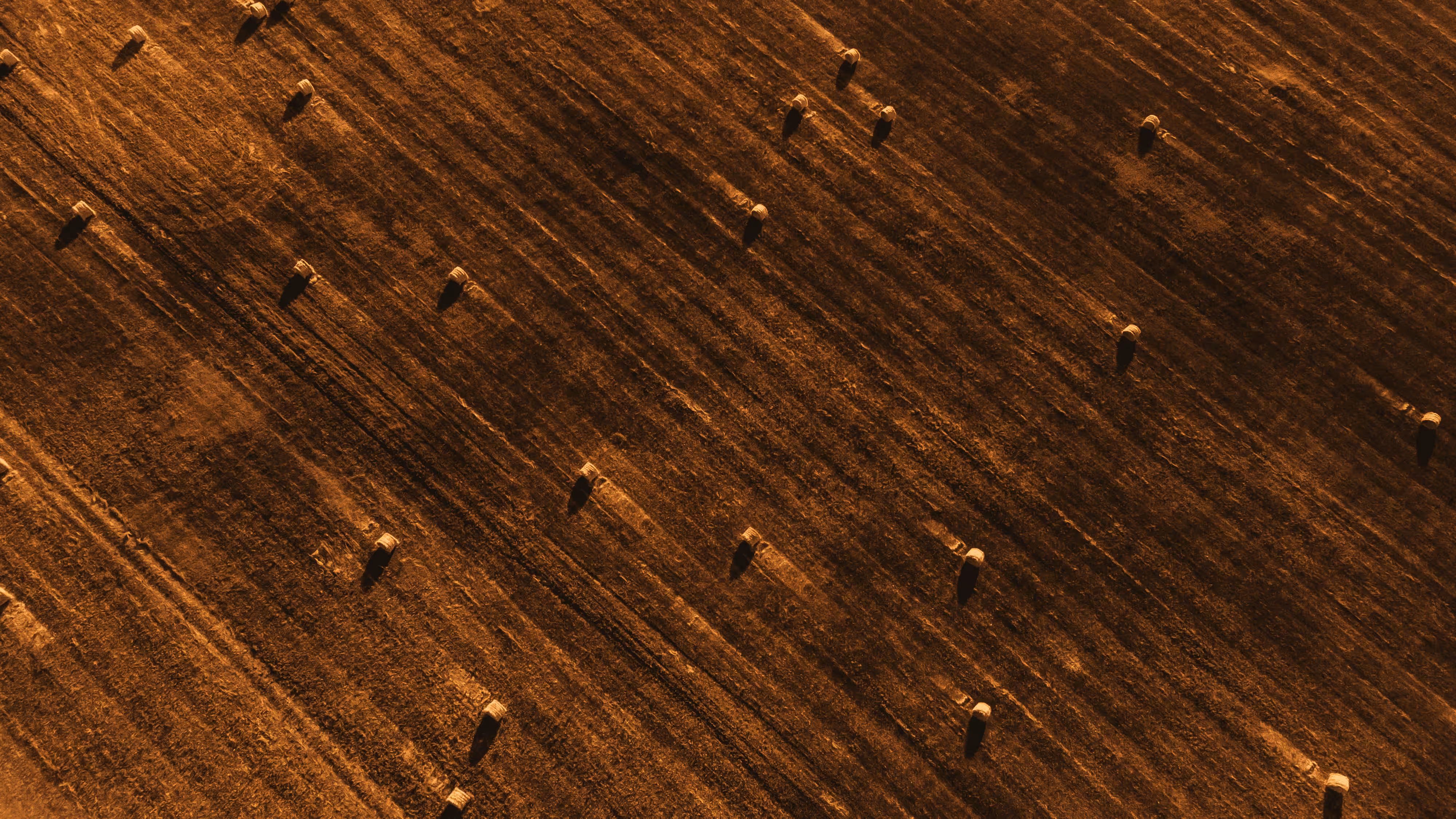 Somewhere above rolls of hay