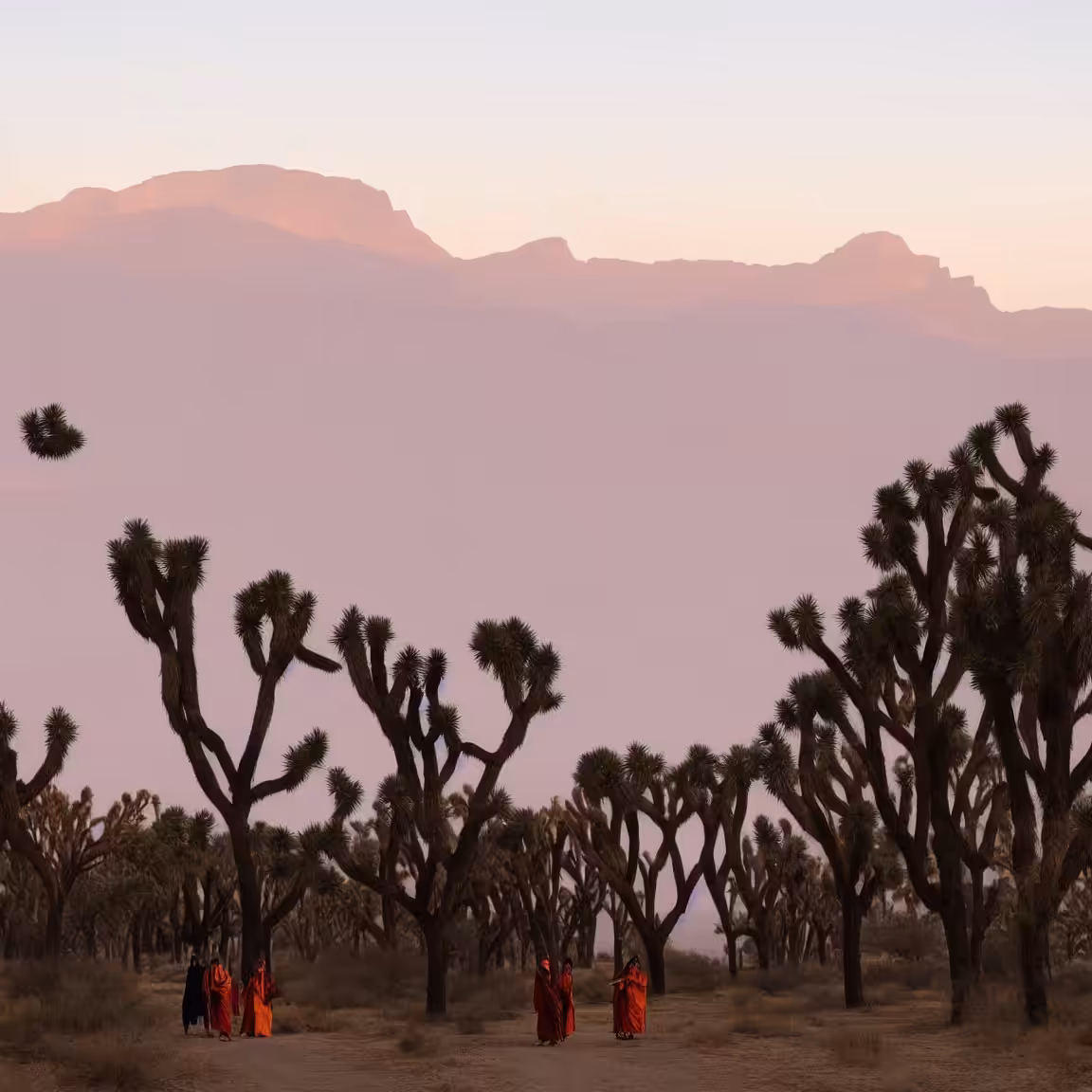 Desert Pilgrimage #12