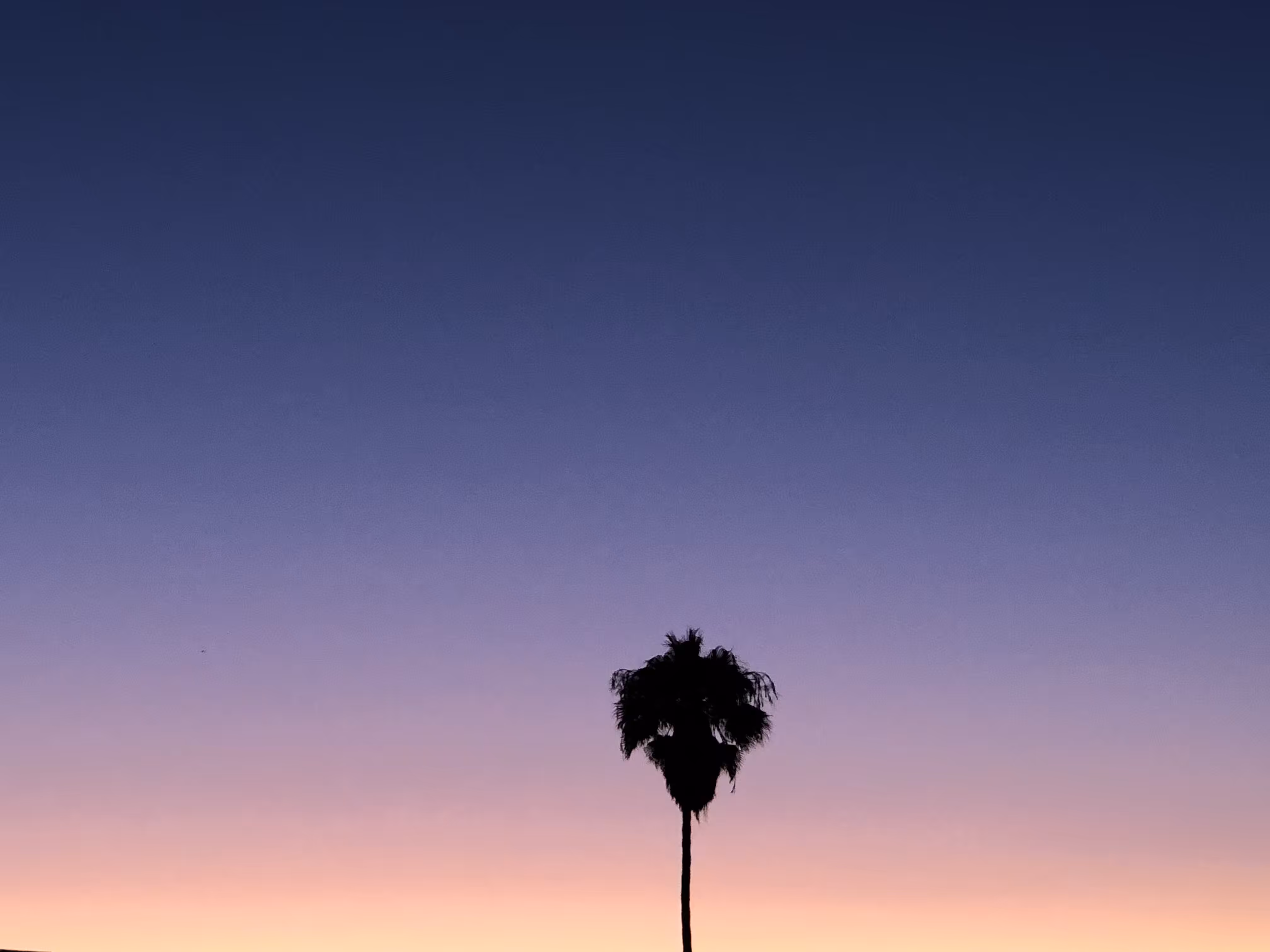 Sunset in Torrance