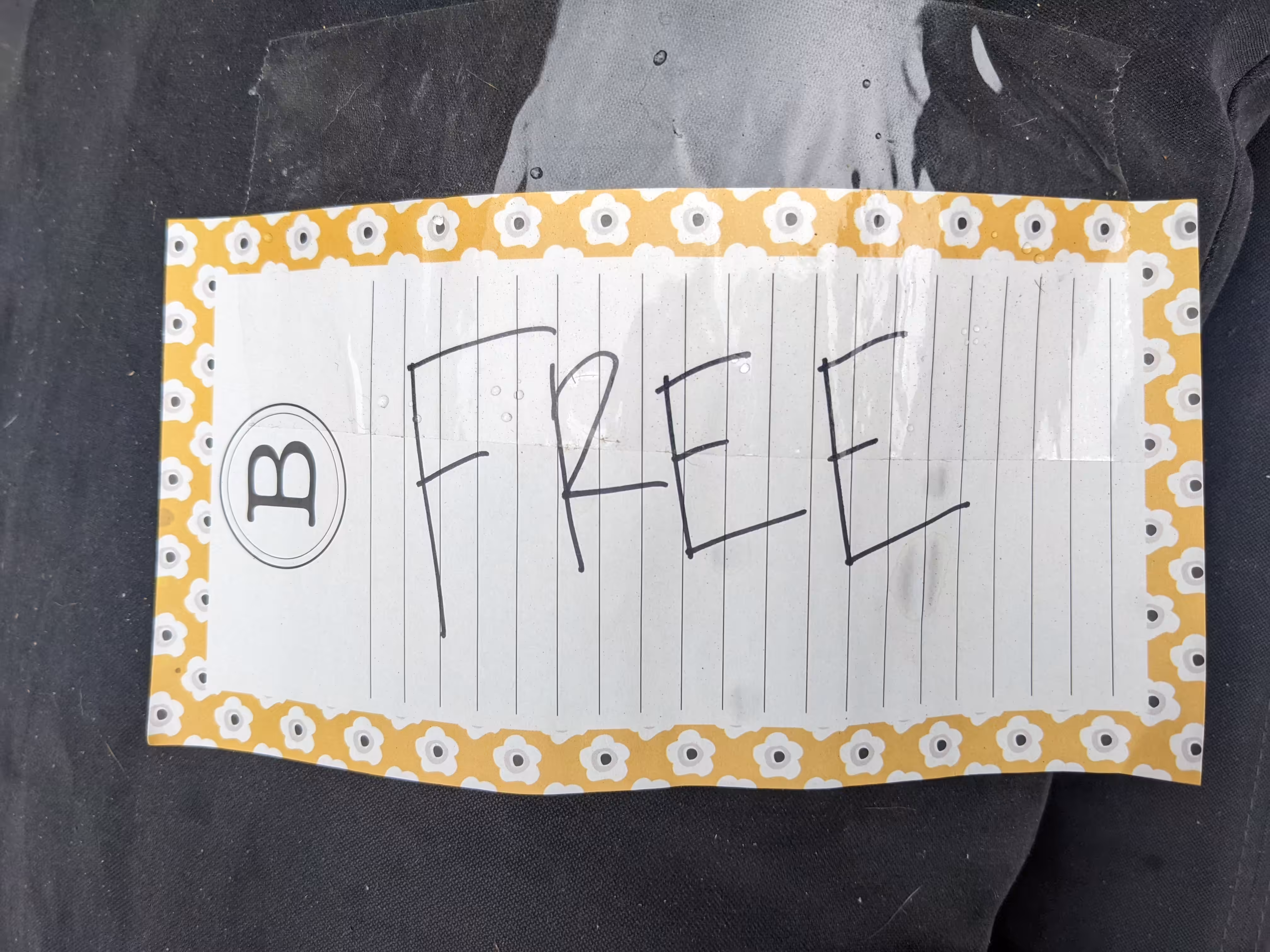 Free17 #6
