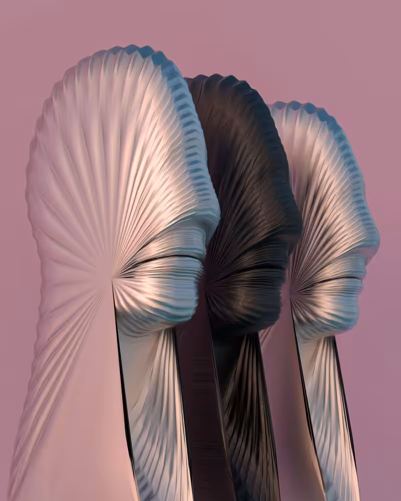 My Vertebrae (Silenced Anguish) - 2019