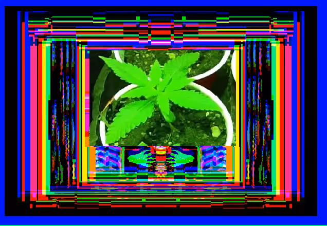 CANNABIS DEEPSPACE 