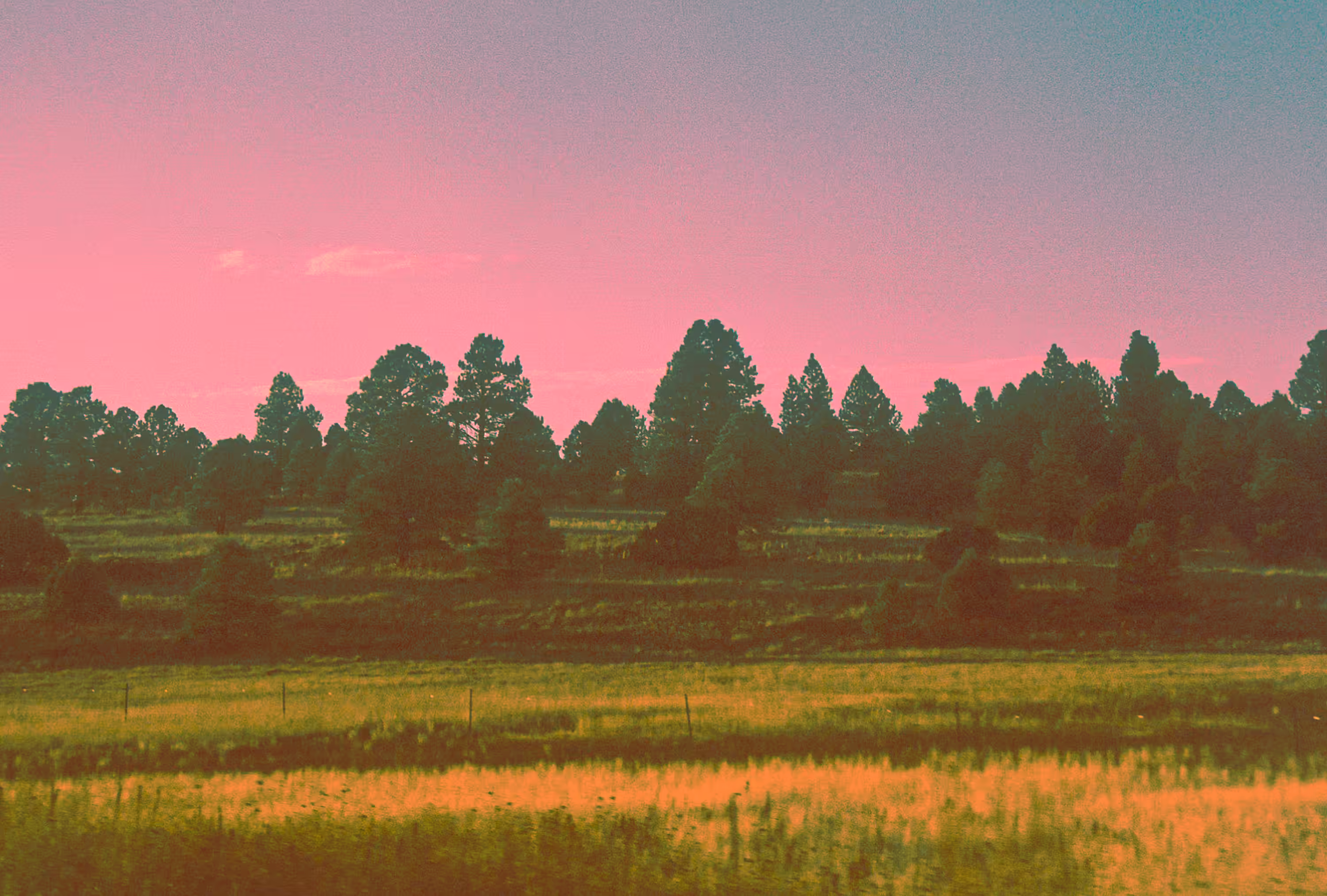 Hyrule Fields #1/2