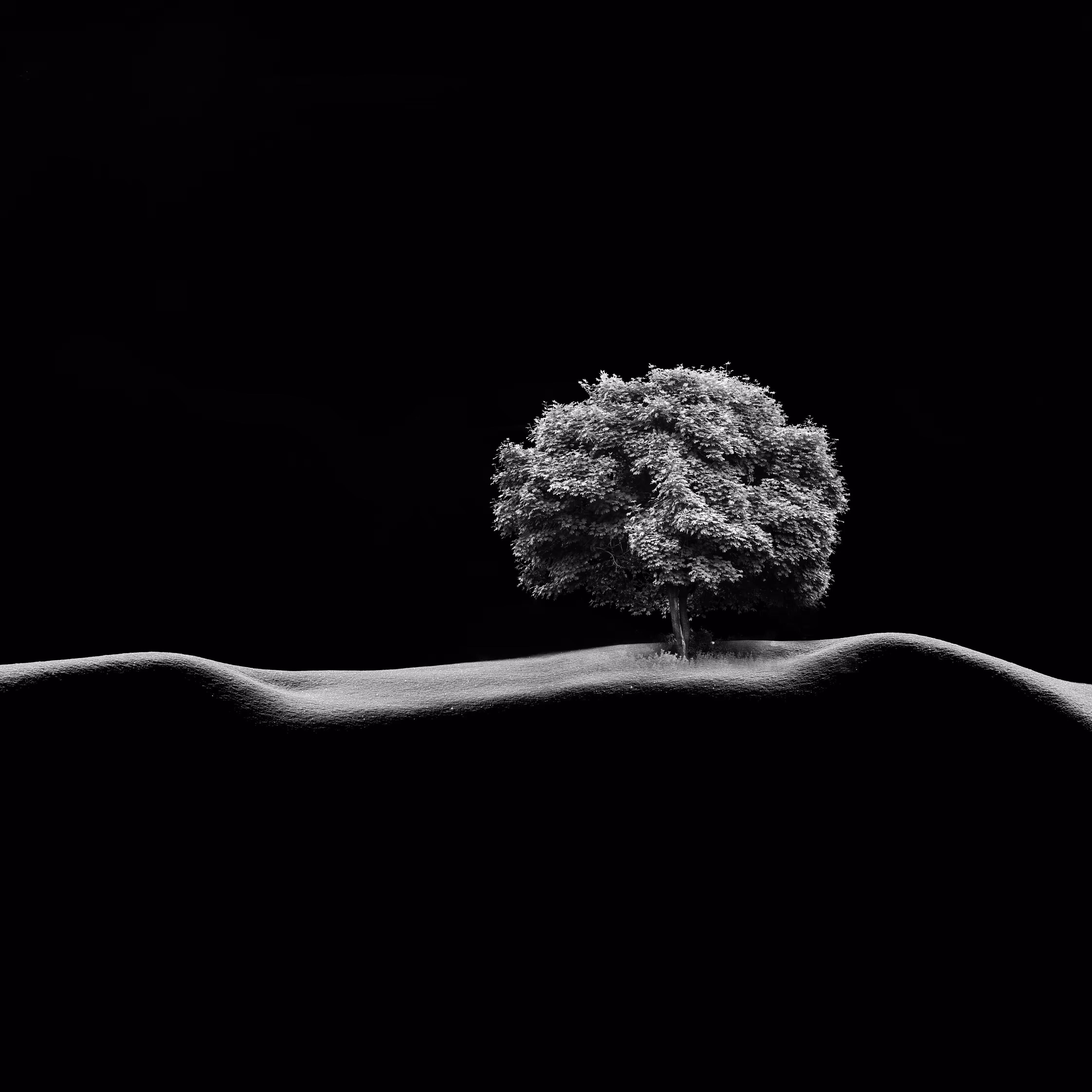 Shadows and Light: A Monochromatic Exploration