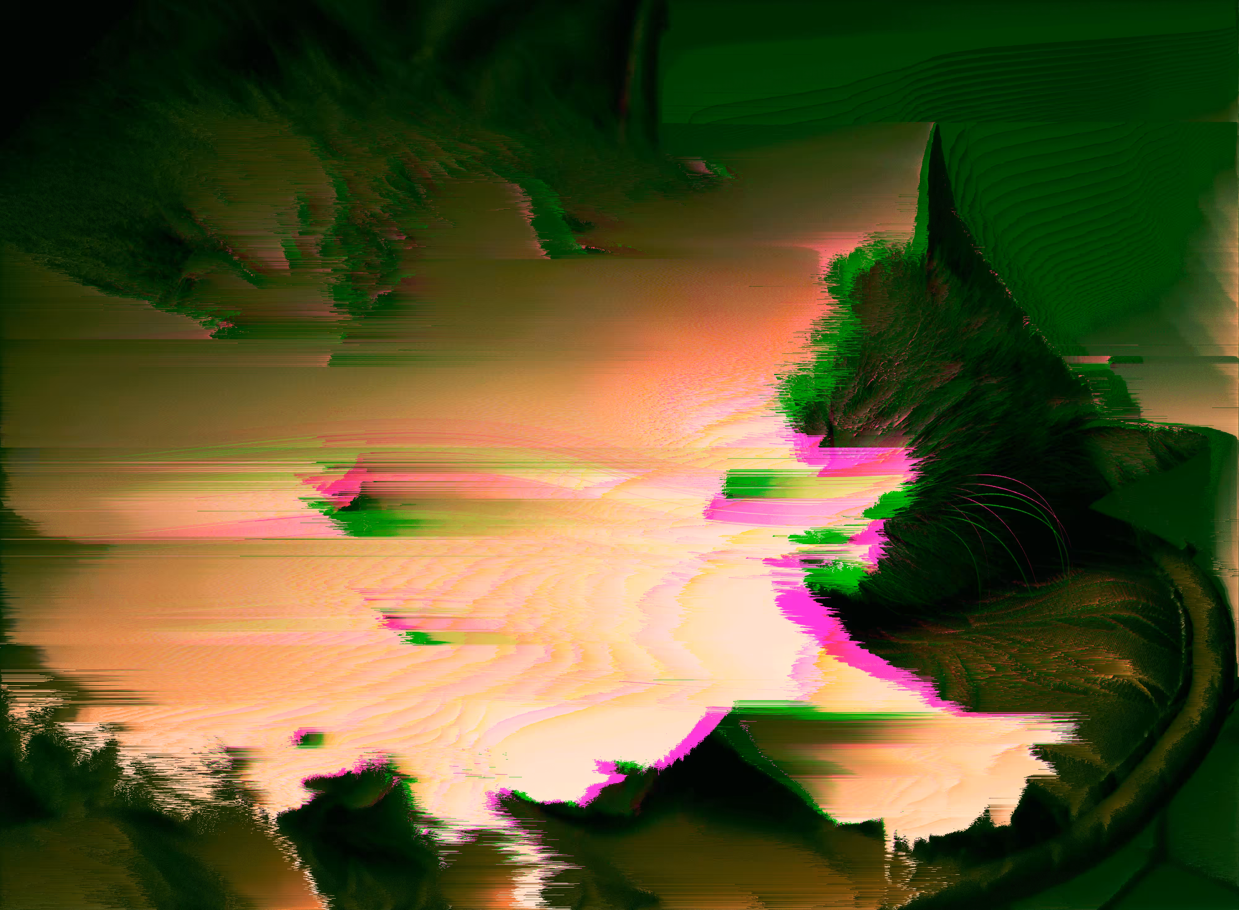 Please don't wake the glitch kitty