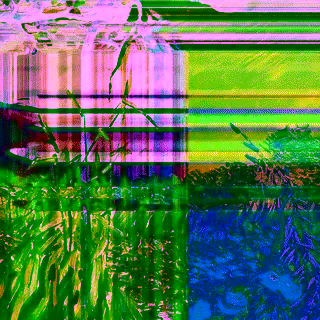 Moonlight in the field  2