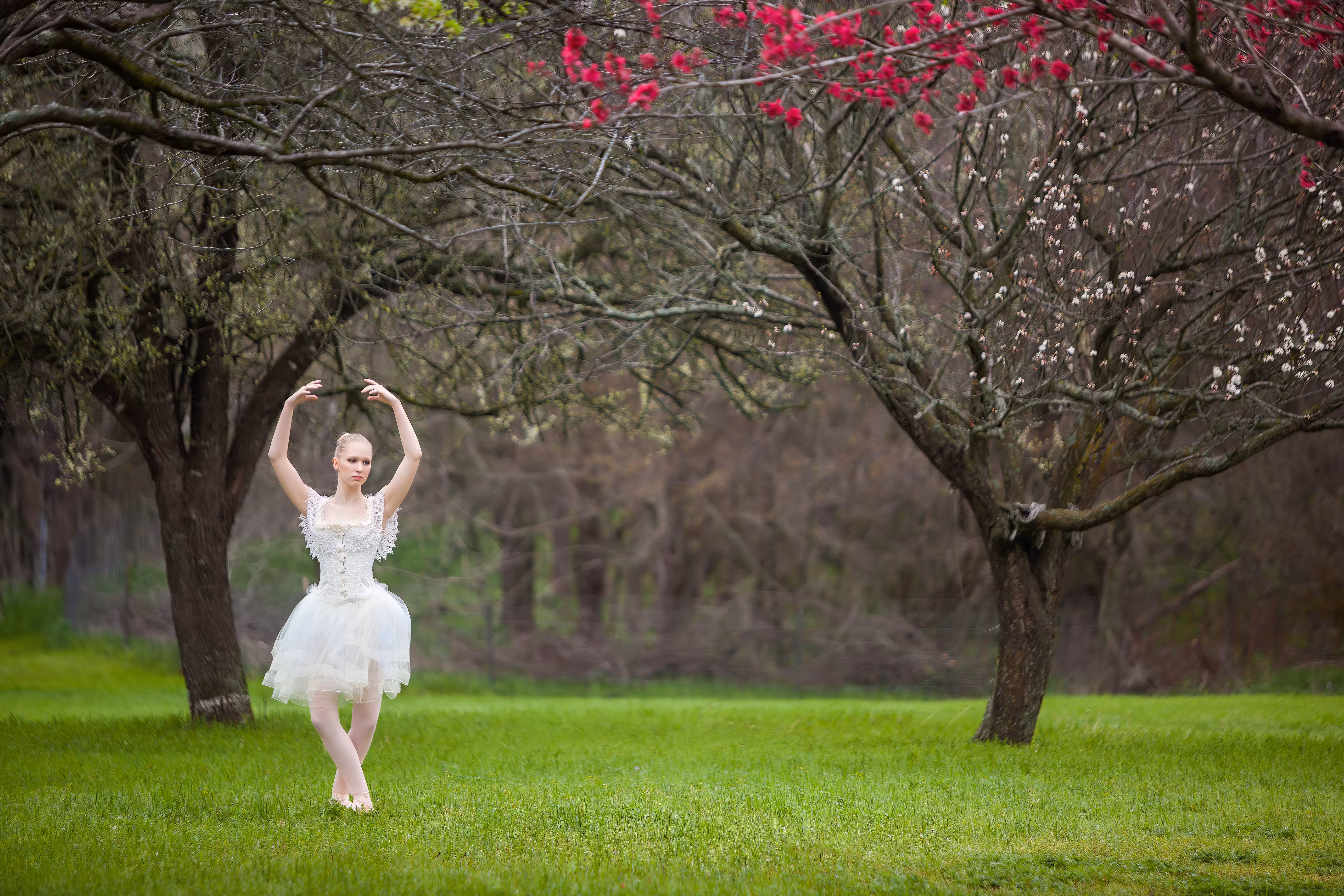 Ethereal Beauty: Rebirth: Spring 