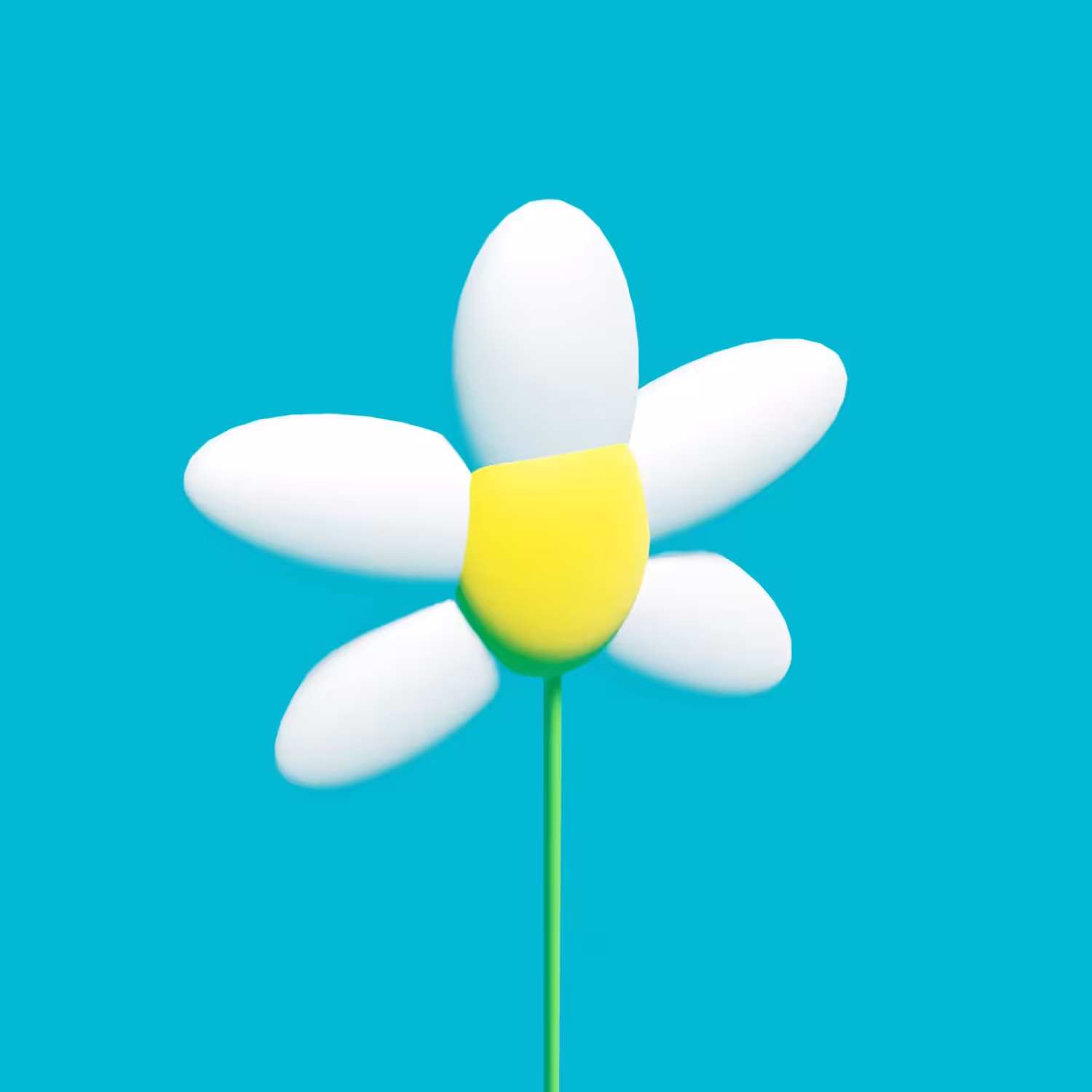 Joy in the flower