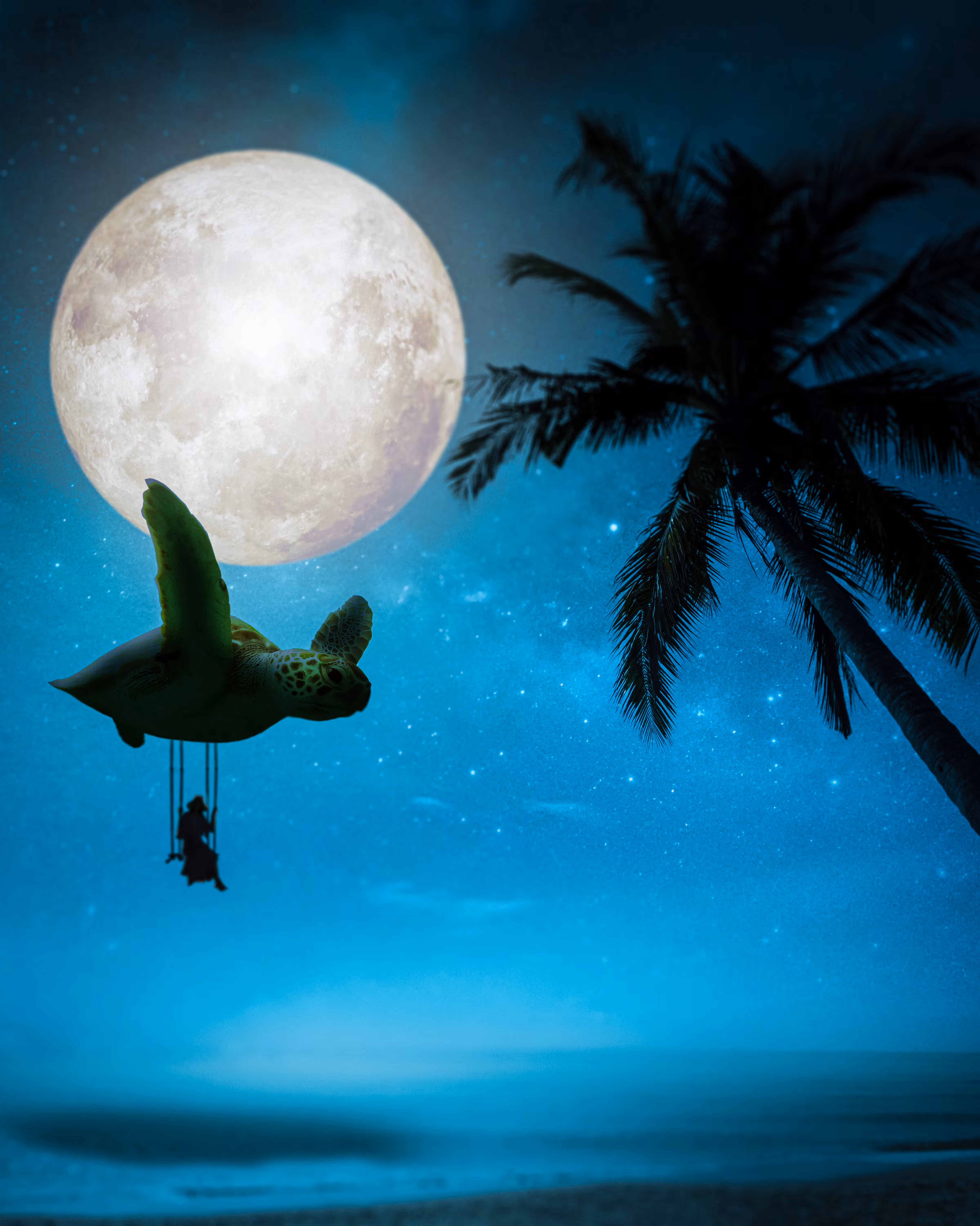Turtle Moon
