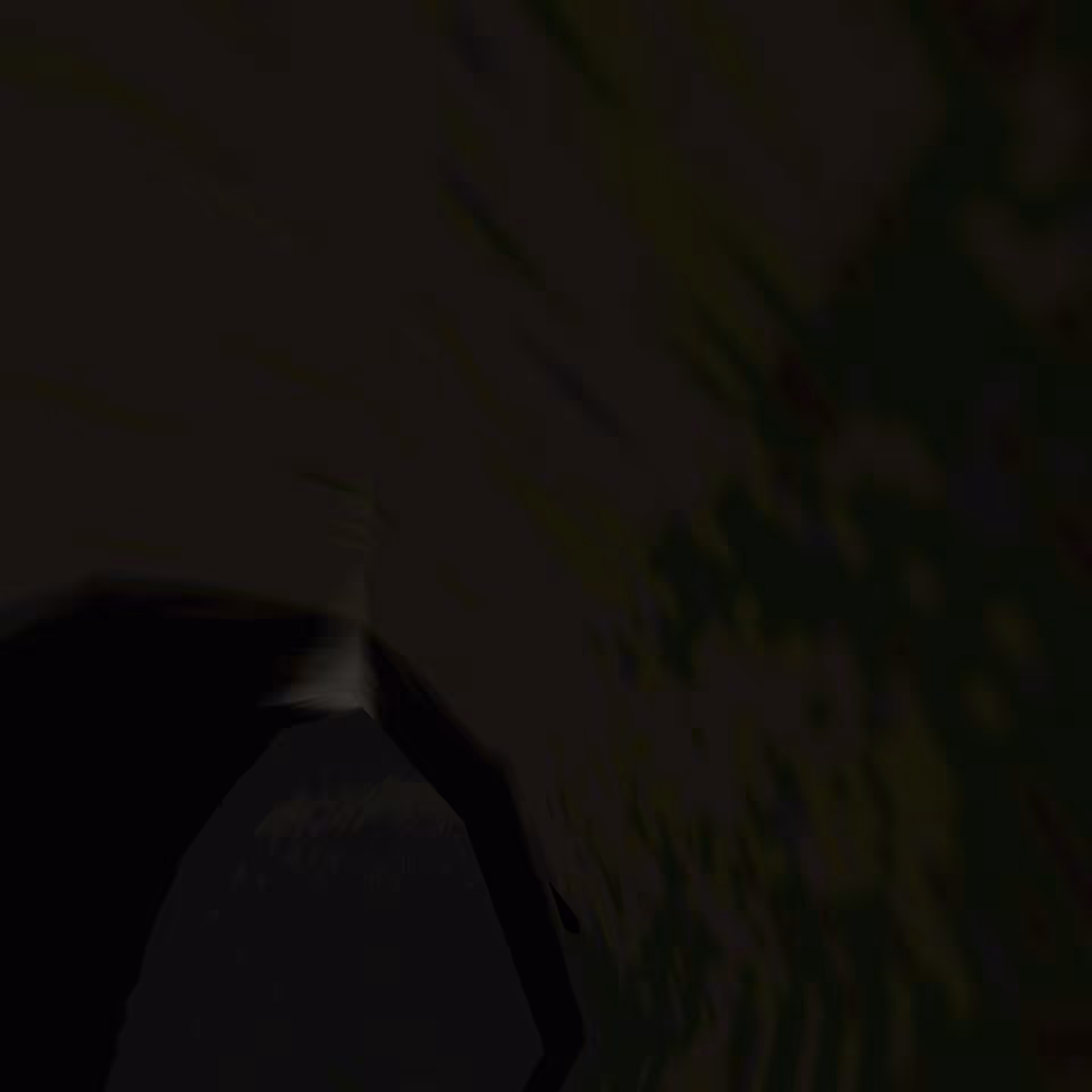 backflip_2820