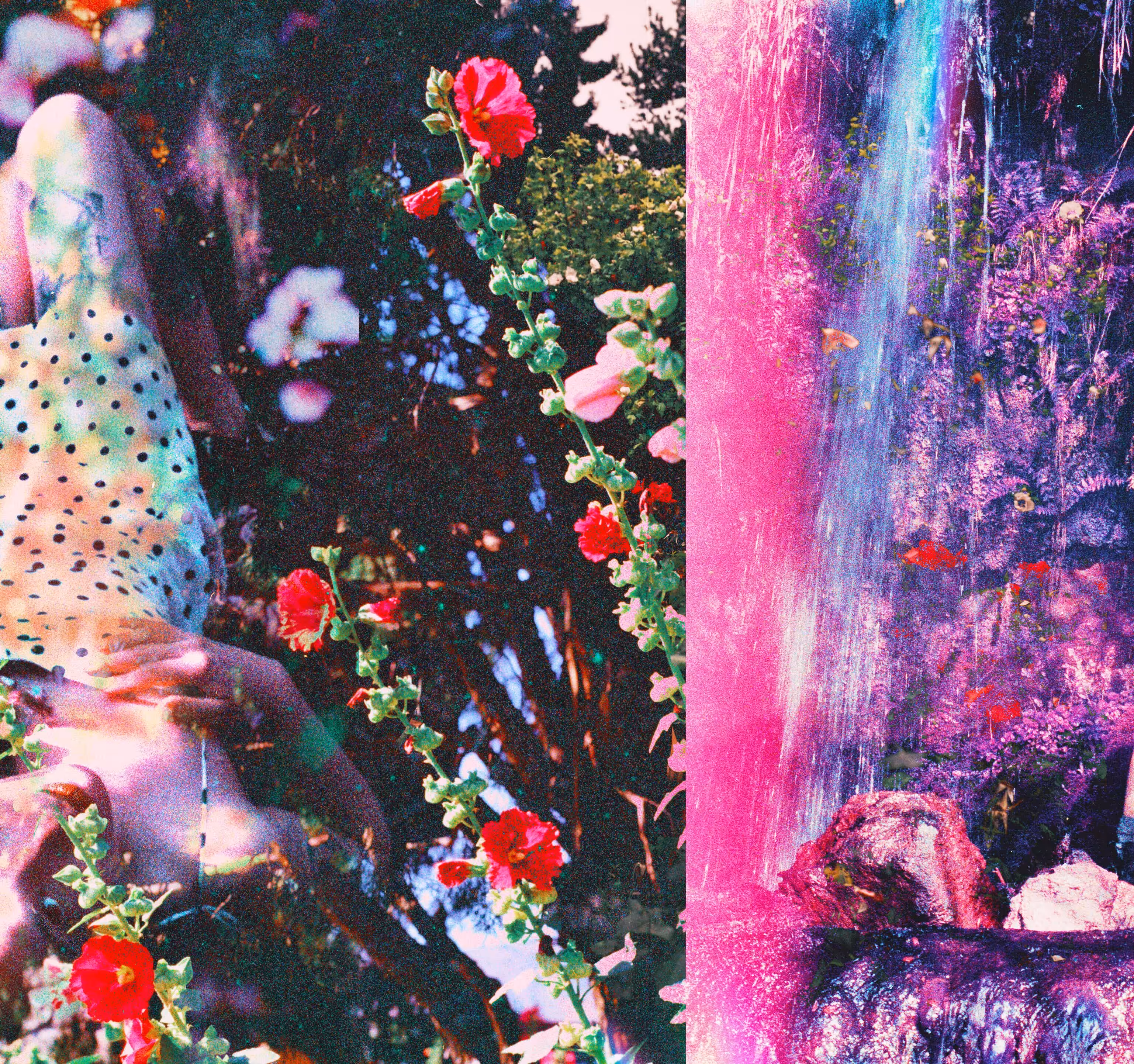 Dreaming in Technicolor