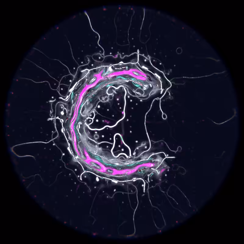 Ethereal Microcosm #249