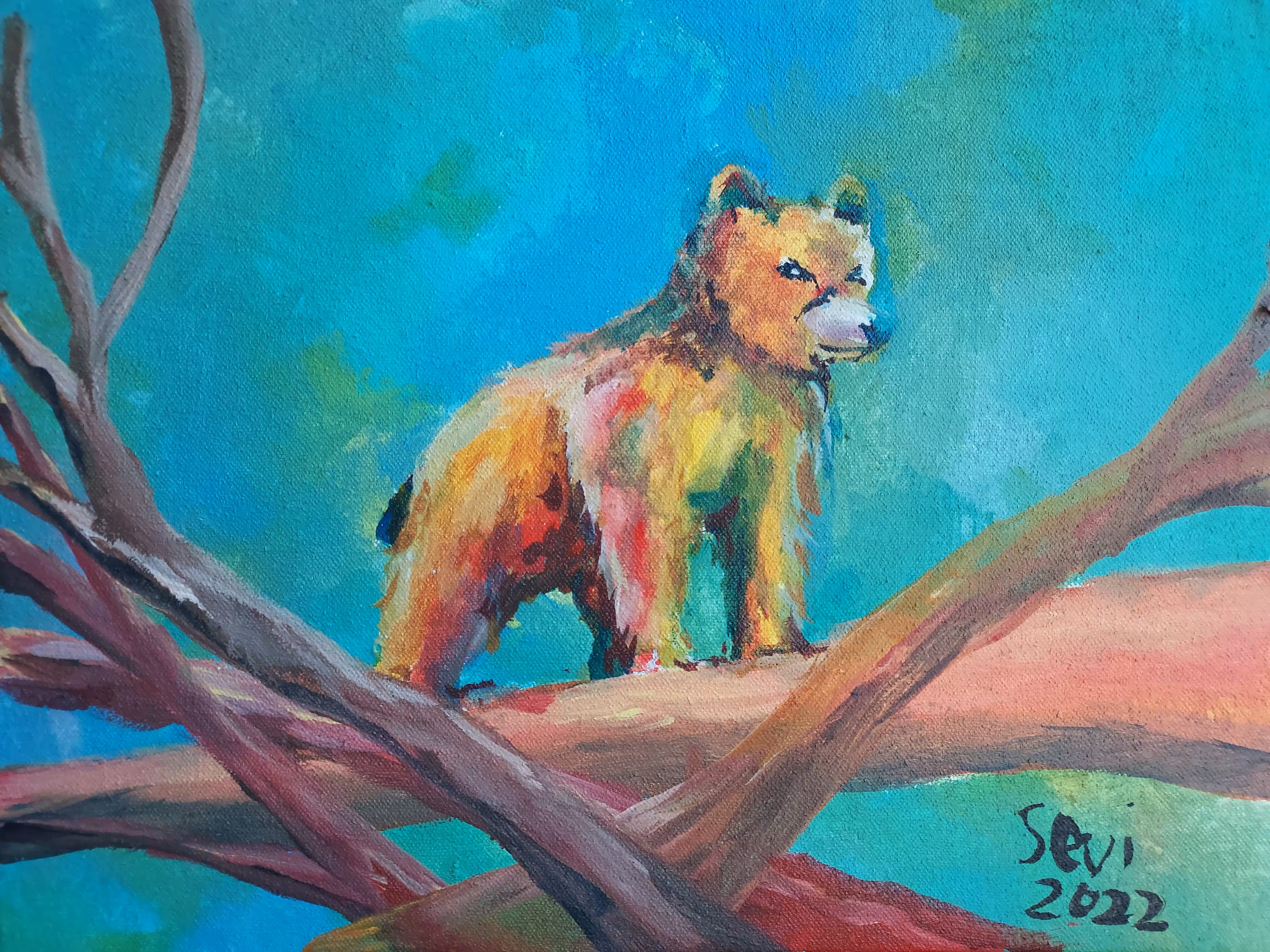 Grizzy Bear