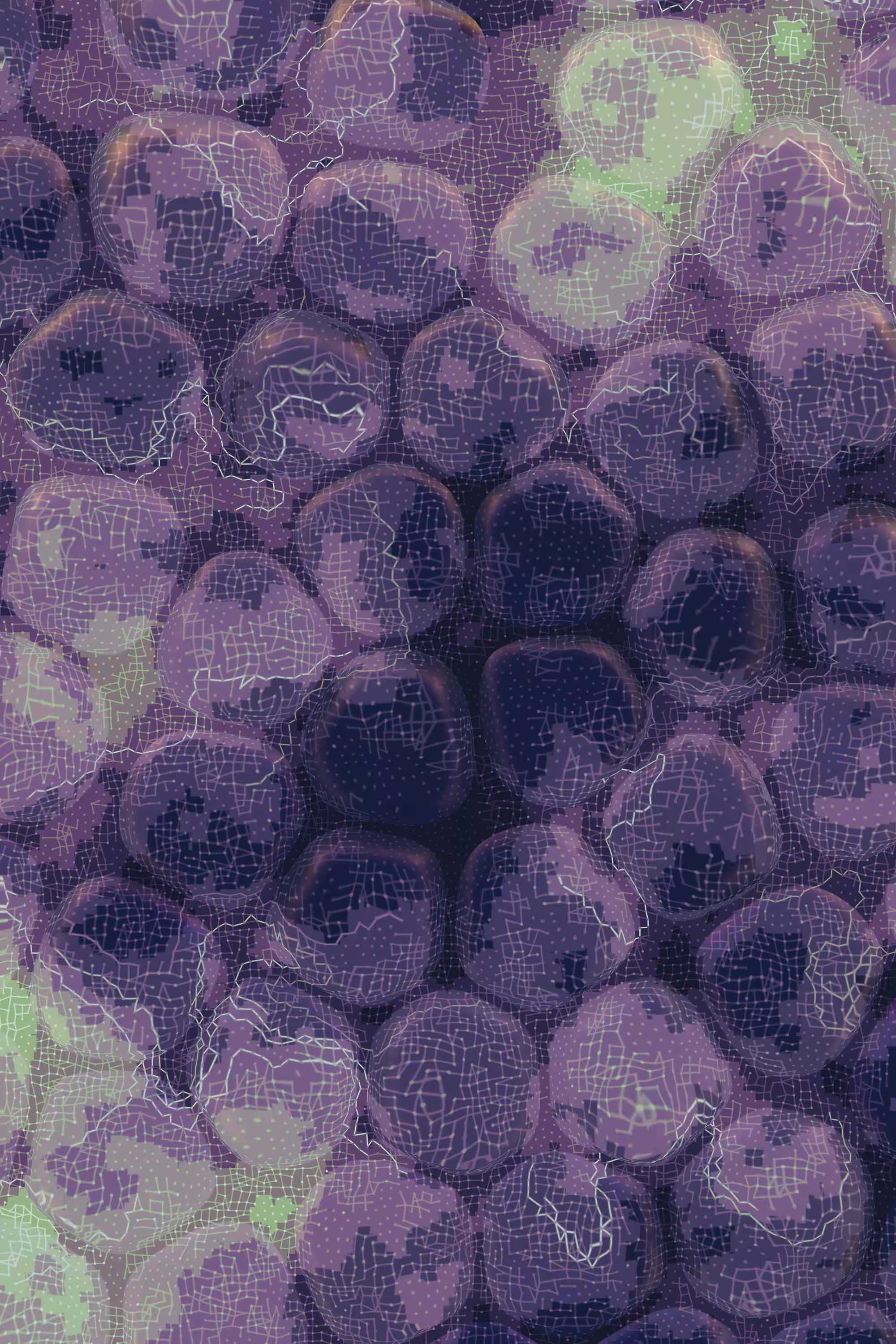 Vitreous #56